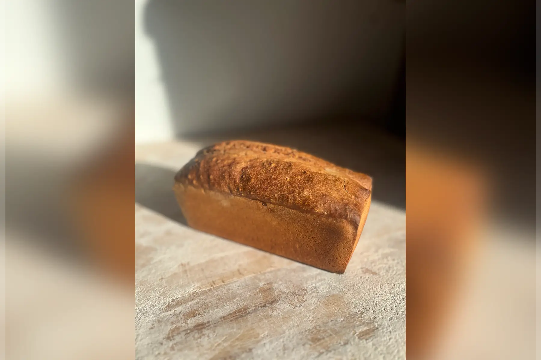 petit épeautre 500g moulé