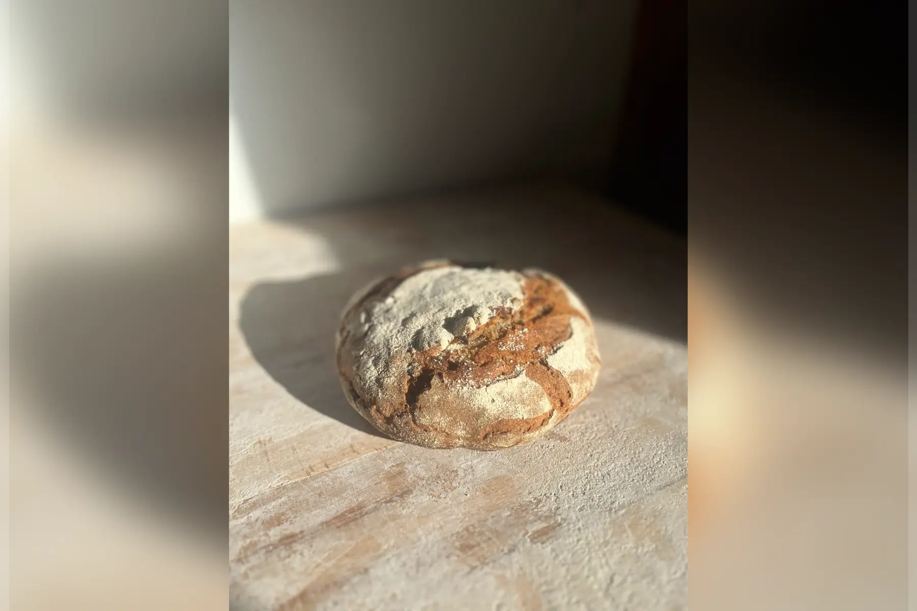 méteil (seigle et t80) boulé