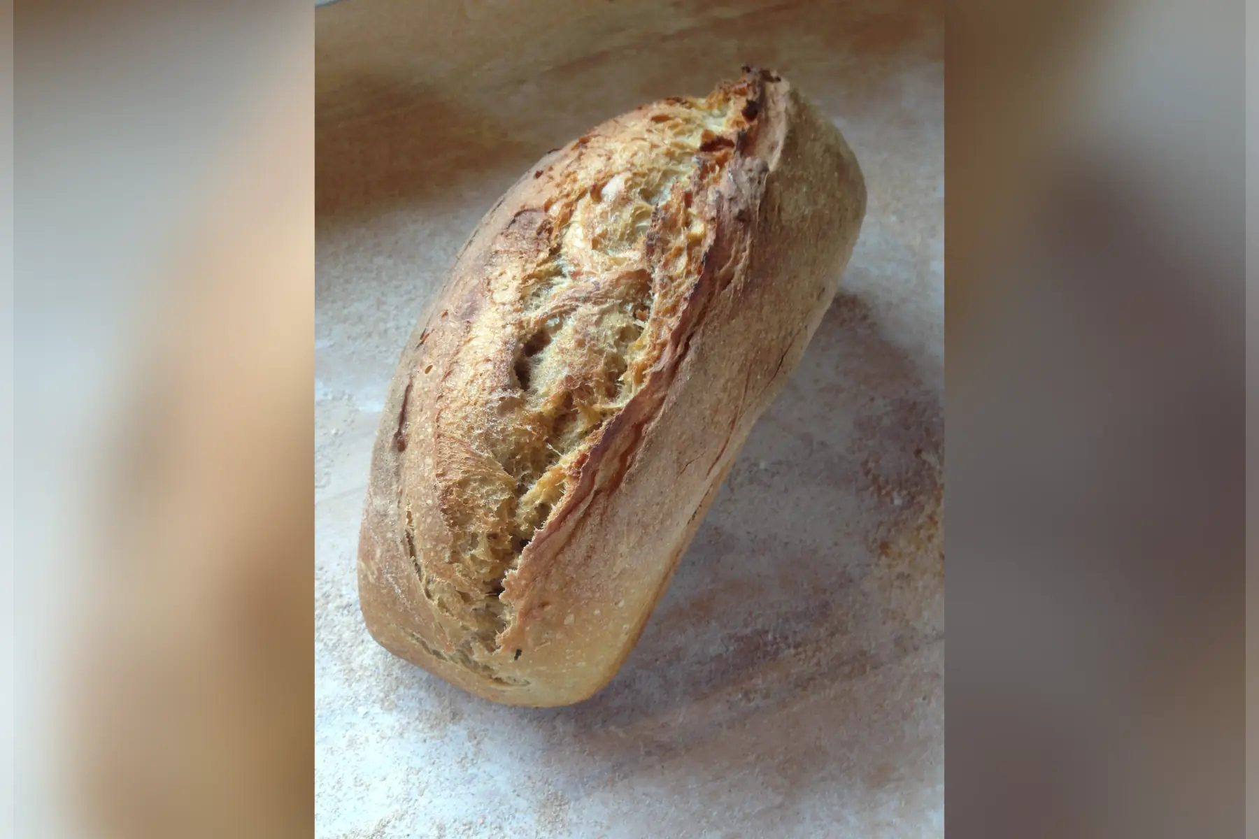 Semi-complet 750g moulé