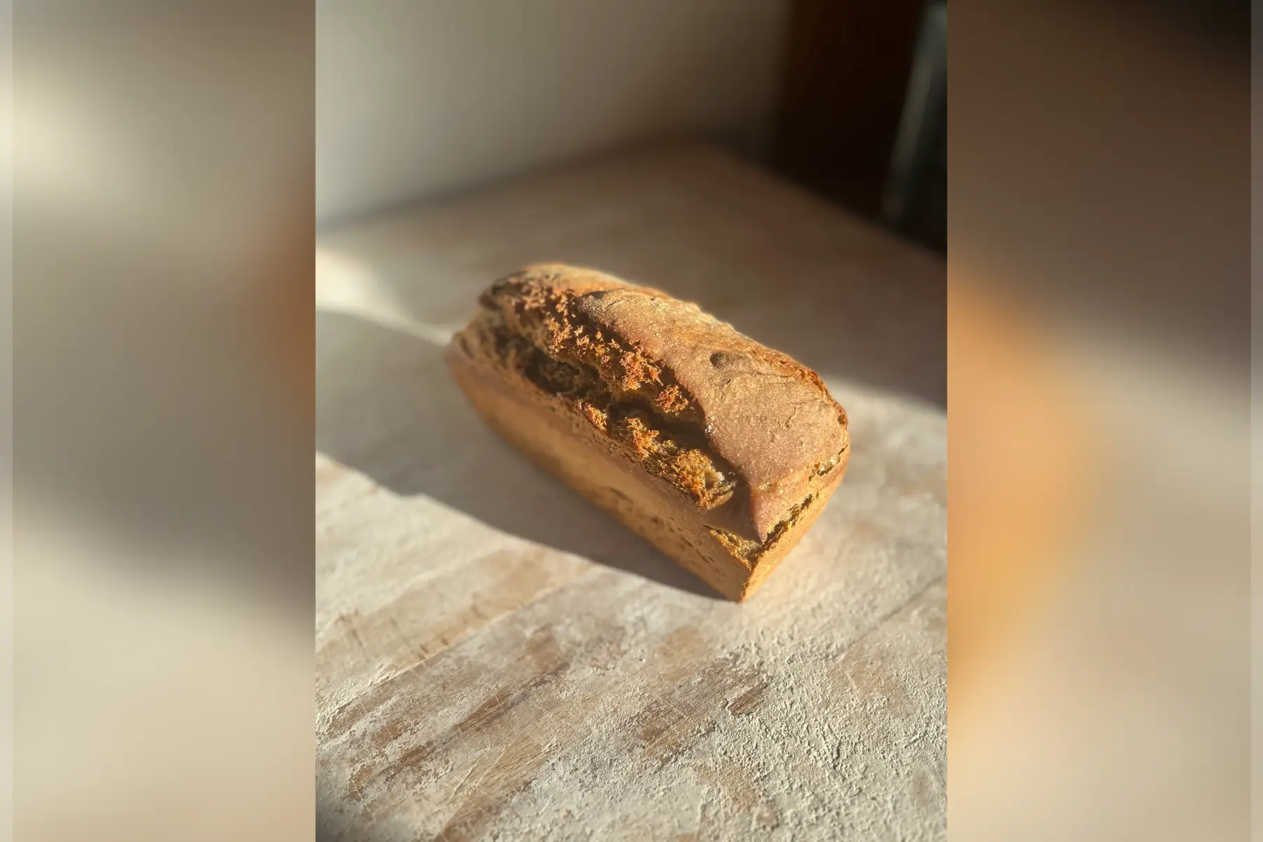 méteil (seigle et t80) moulé