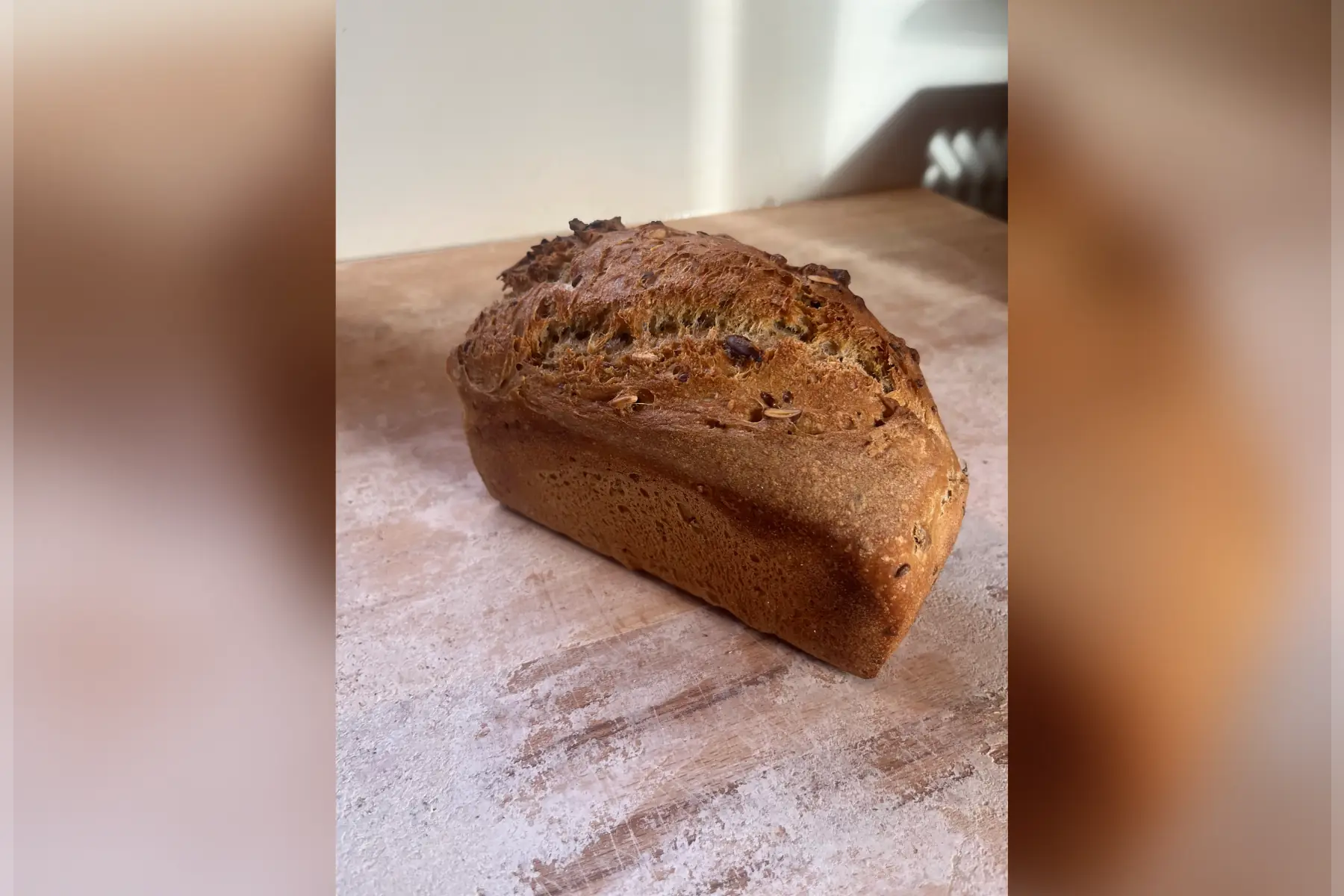 aux graines 500g moulé