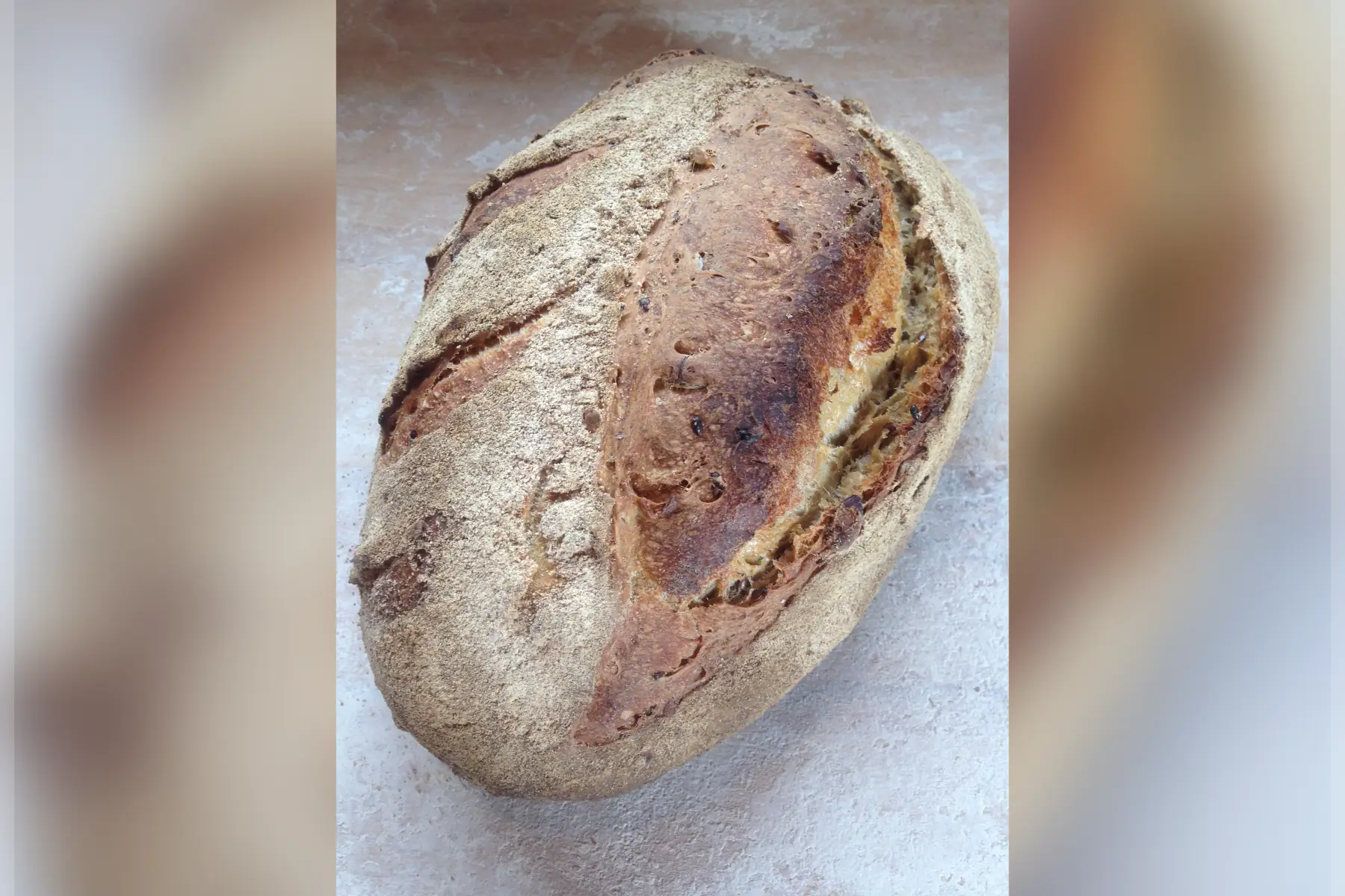 aux graines 1kg boulé