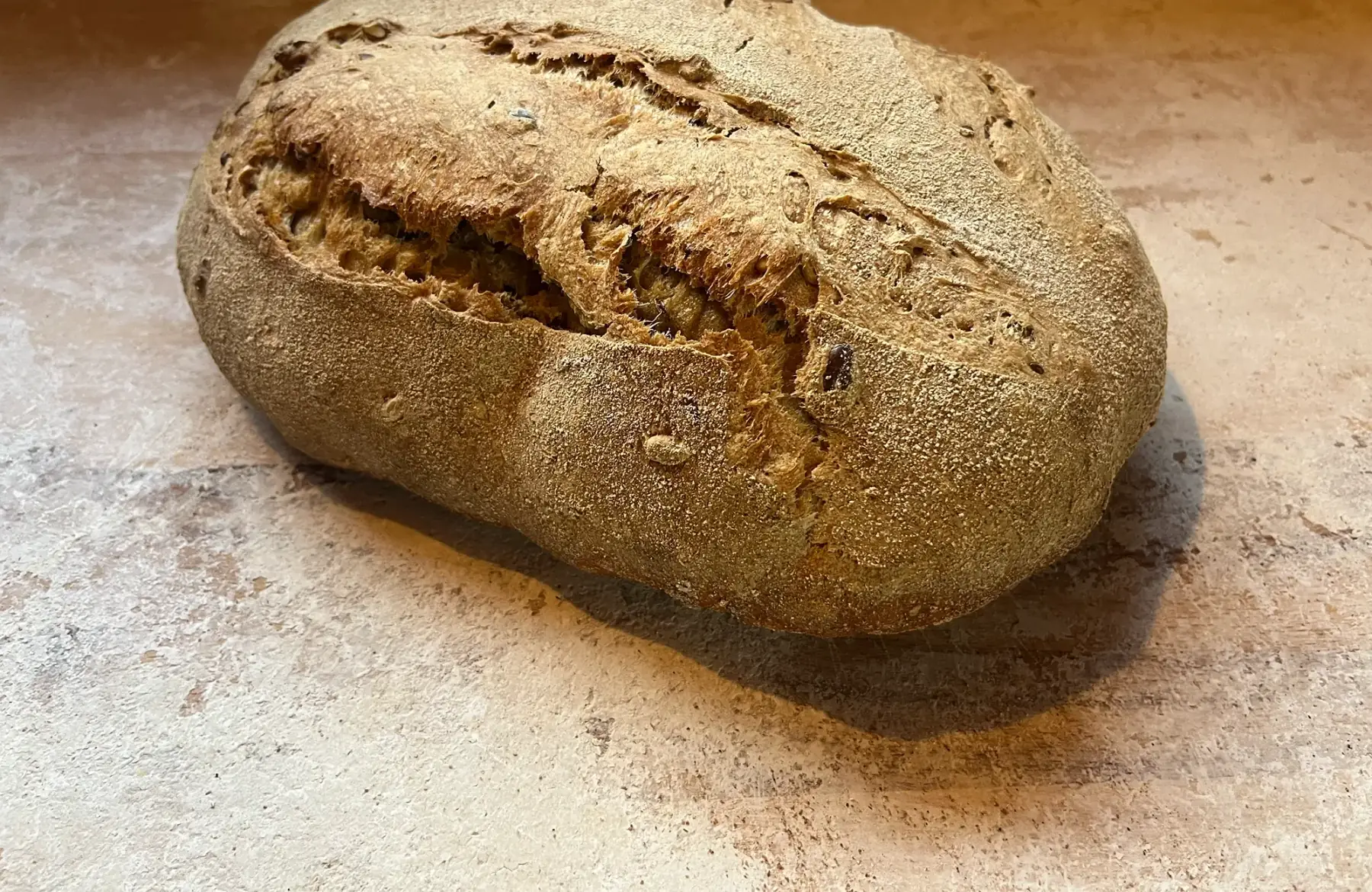 aux graines 1kg boulé