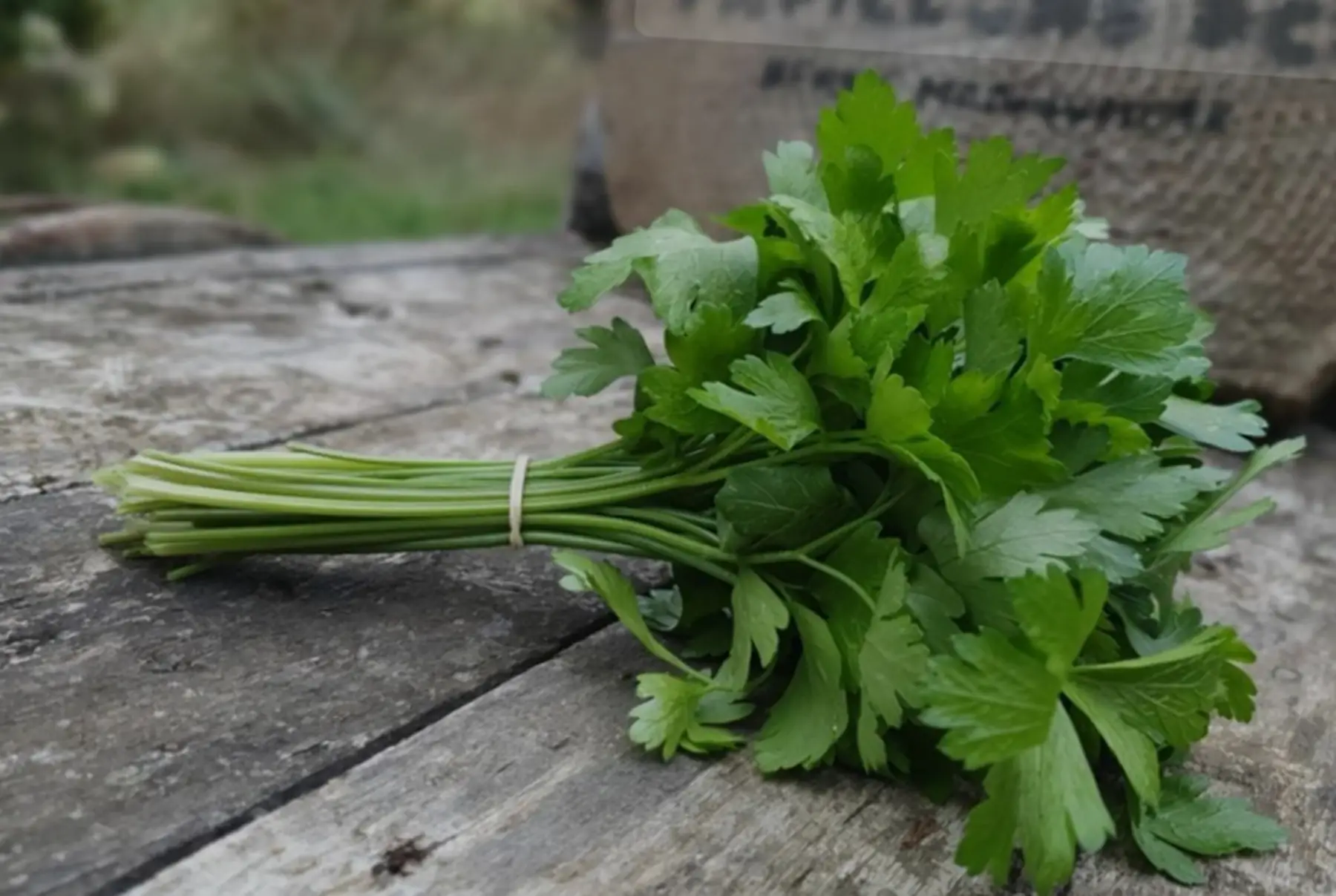 Bouquet de persil