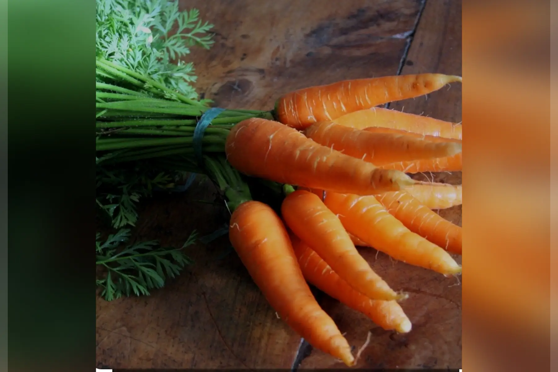 Carottes bottes