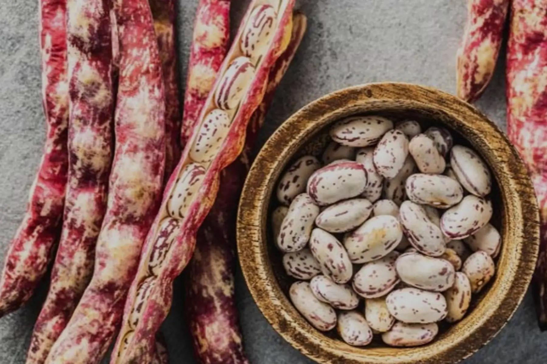 Haricots coco
