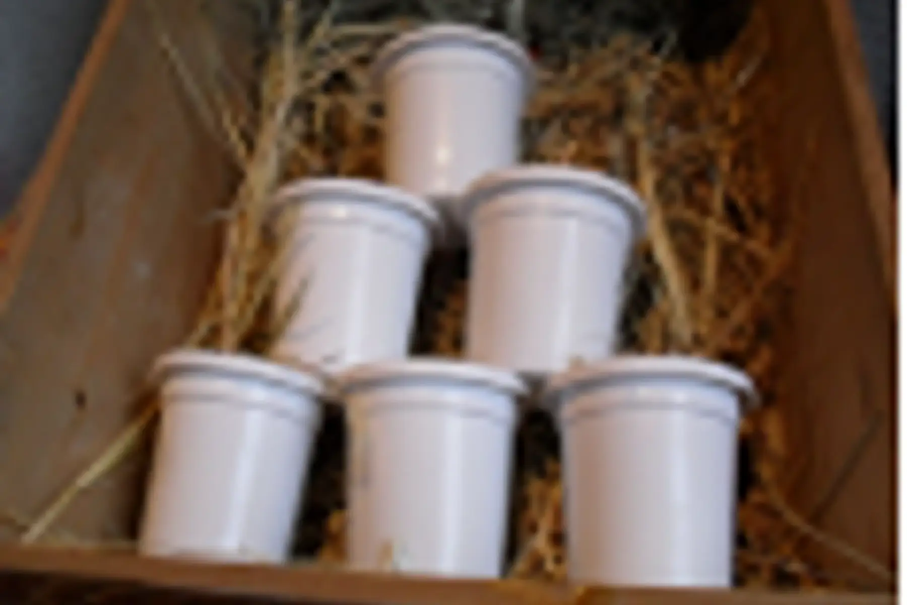 4 yaourts nature de chèvre ab