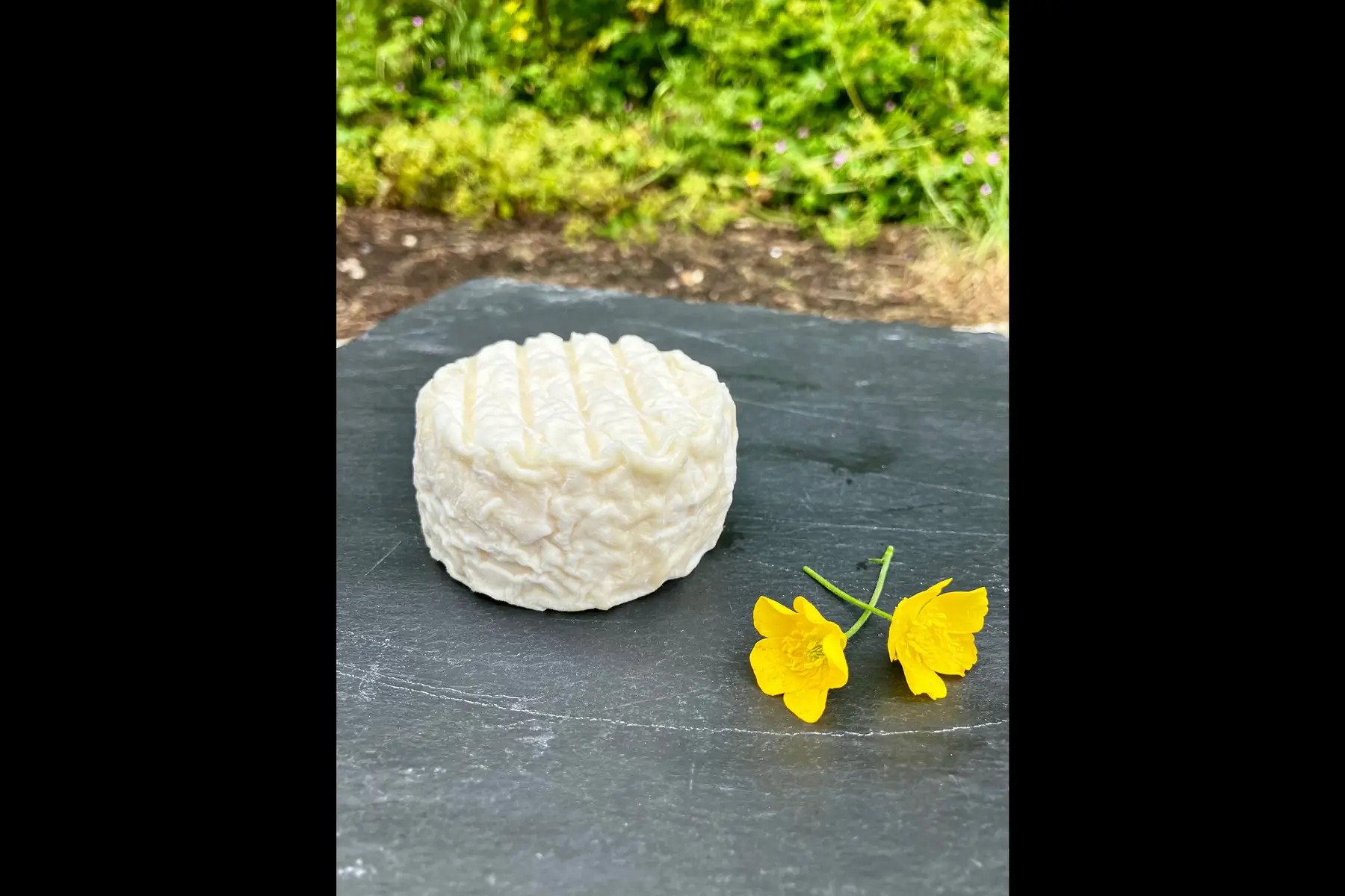 p'tit denved entre-deux