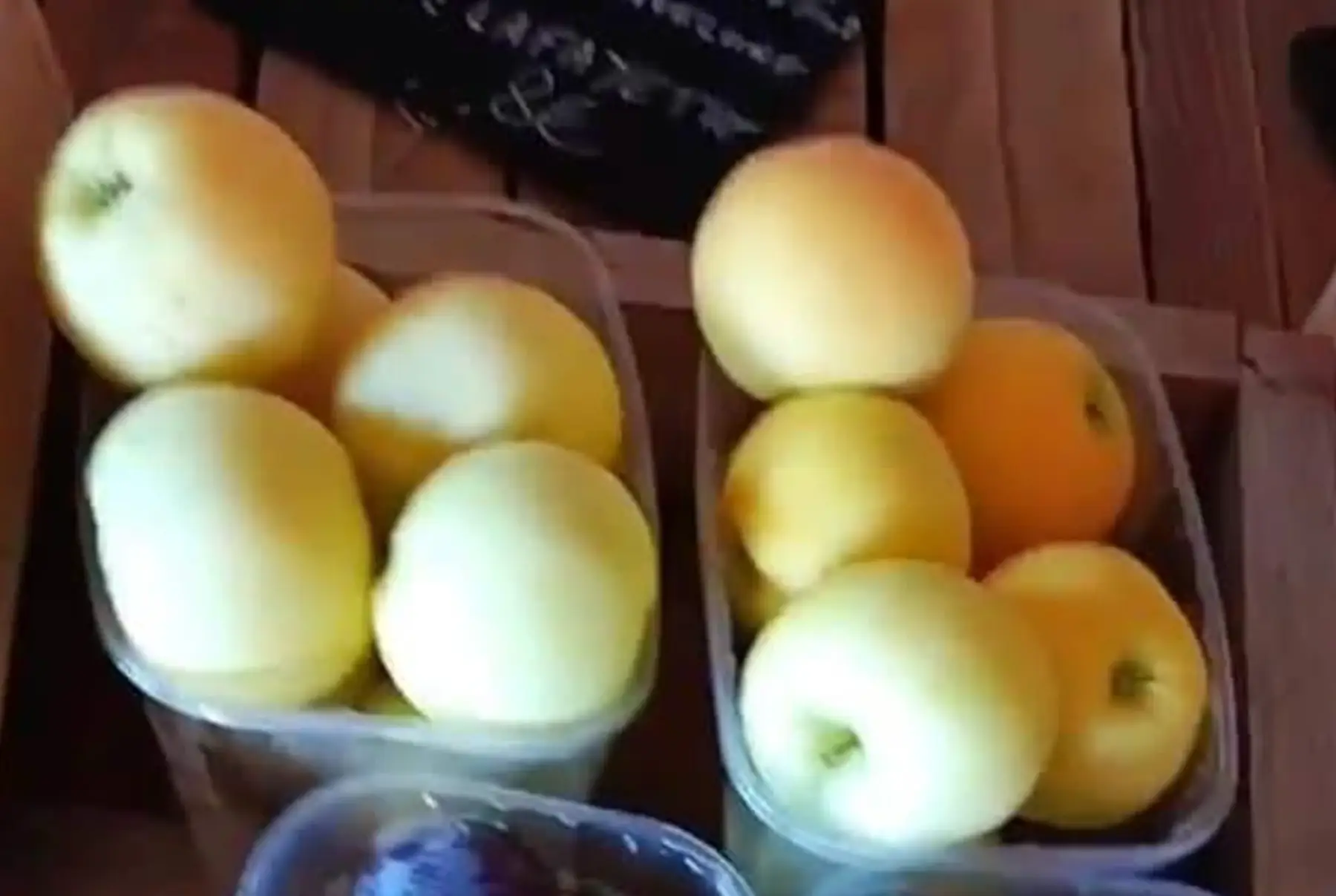 pommes lafayette sans traitement tavelure au kg