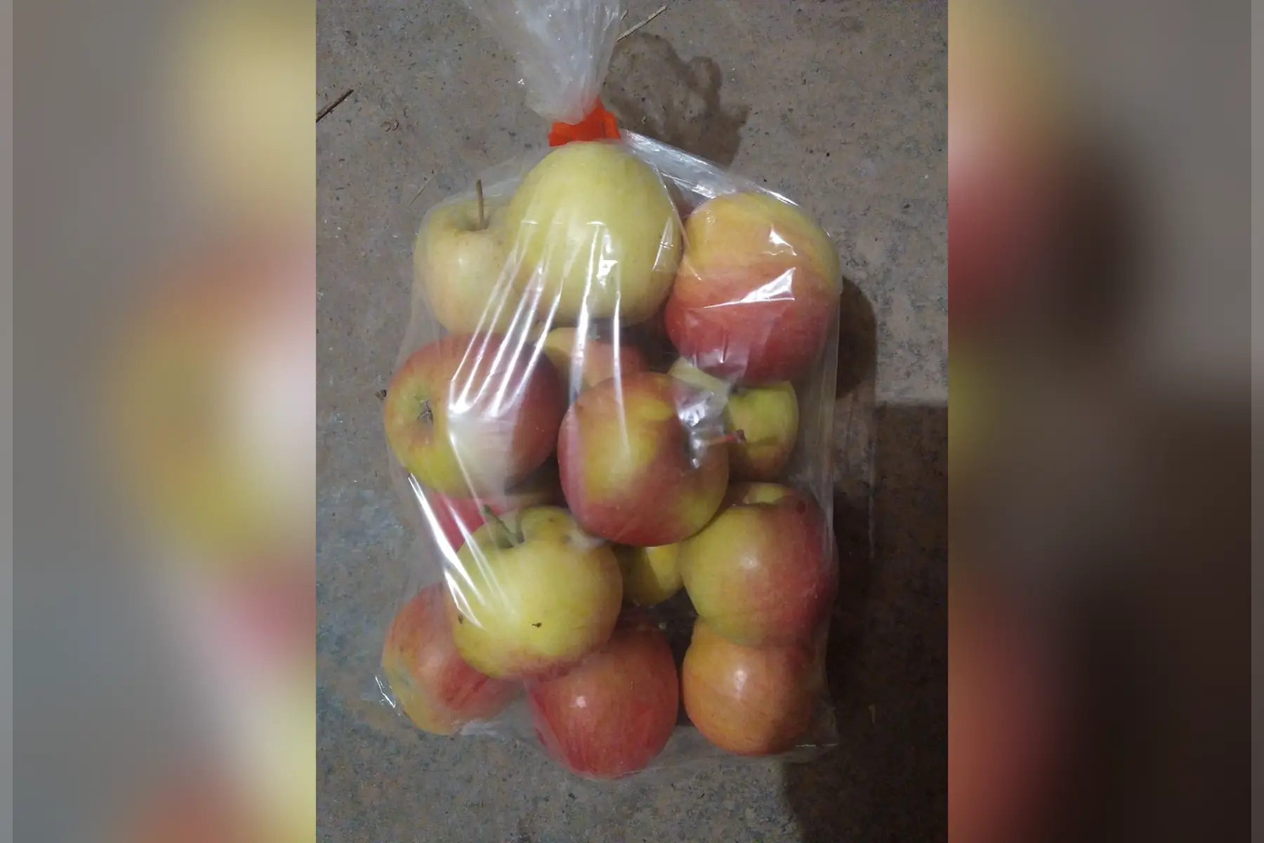 Fuji poche de 2kgs calibre 65/70