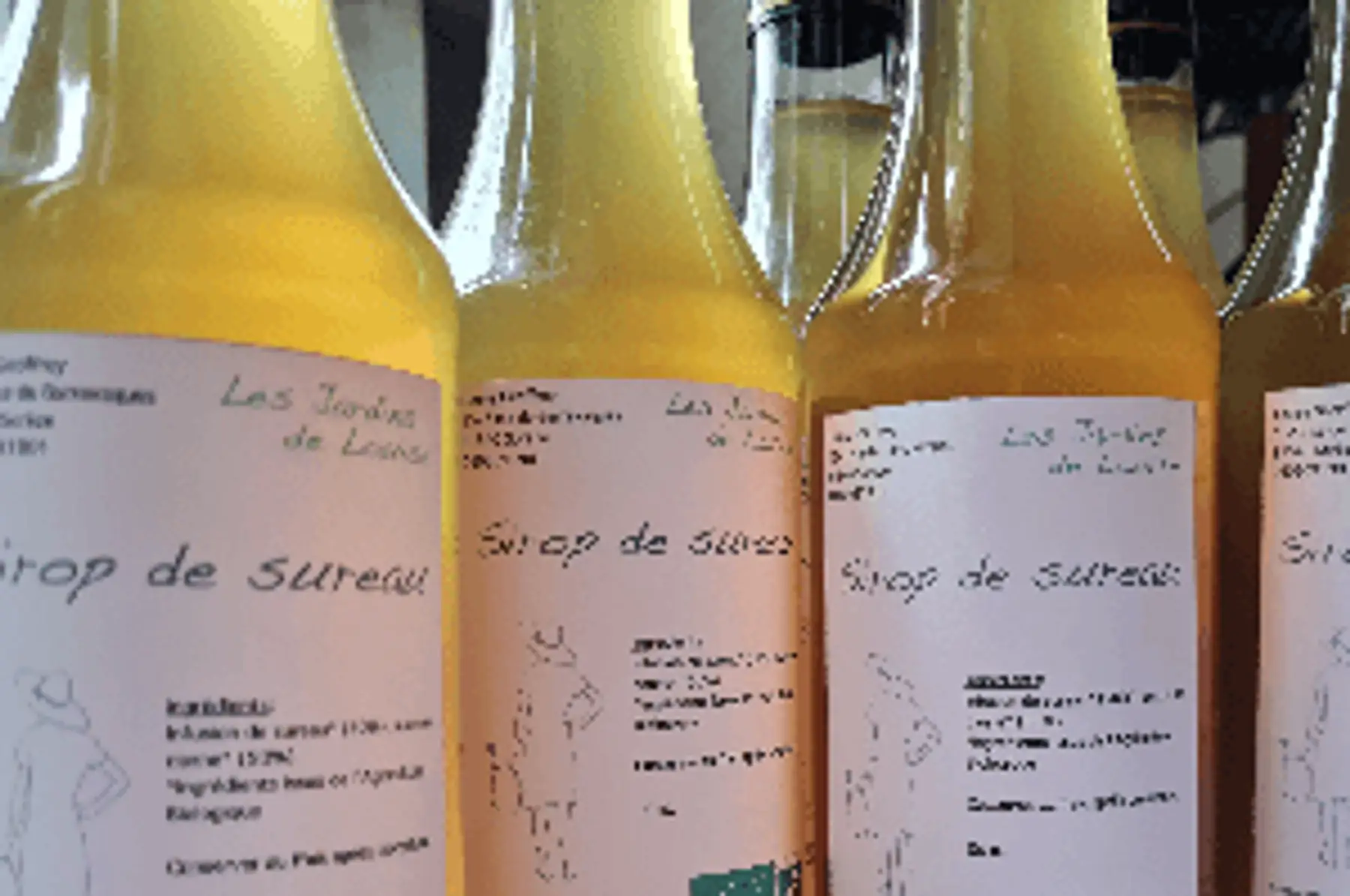 sirop de sureau