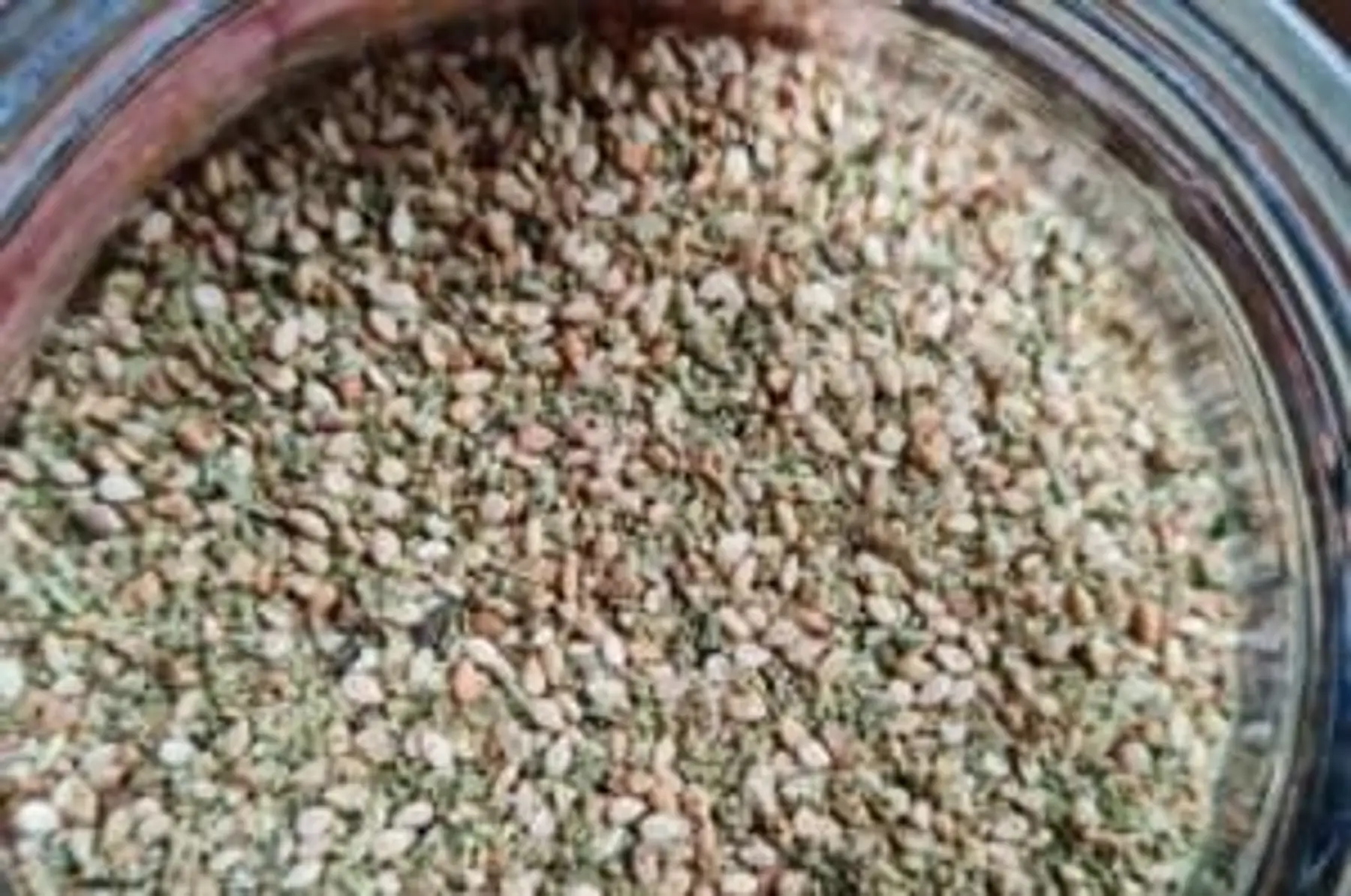 Vrac Gomasio Été 100g