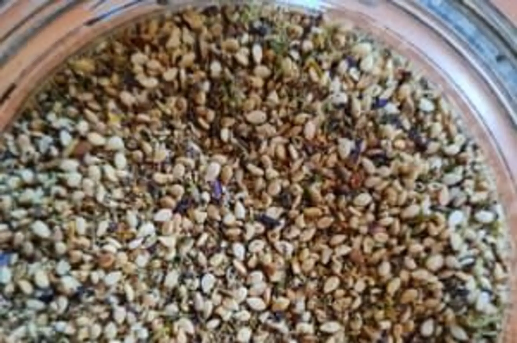 vrac gomasio fleurs 100g