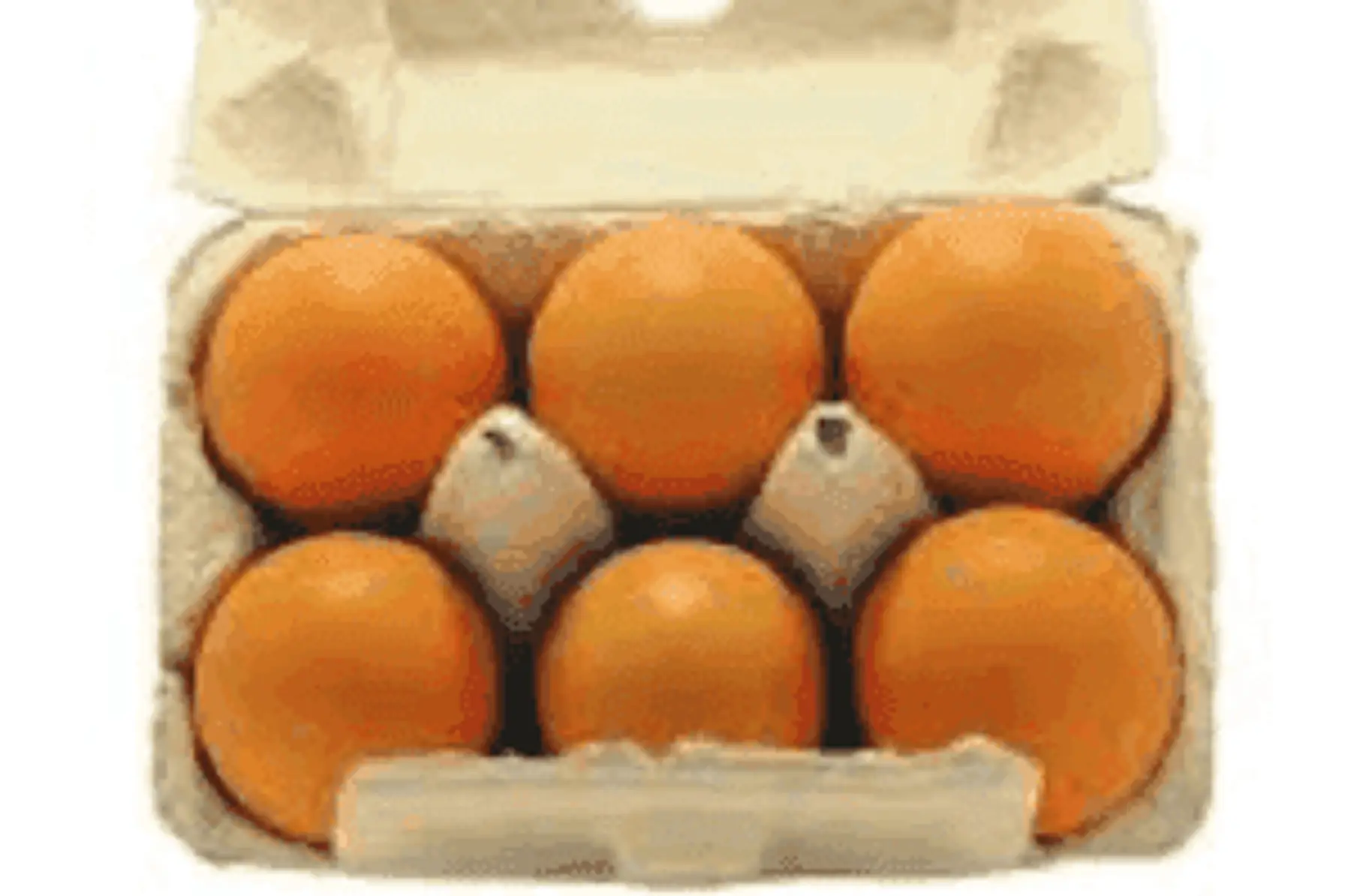 oeufs bio extra frais