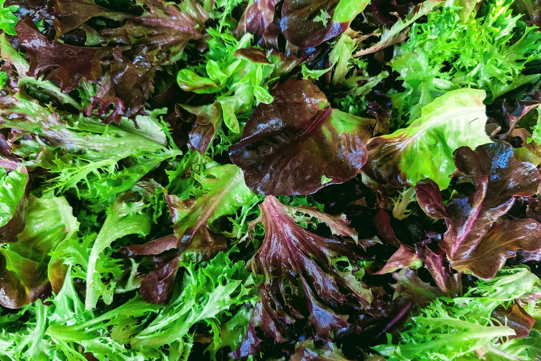 salade mix