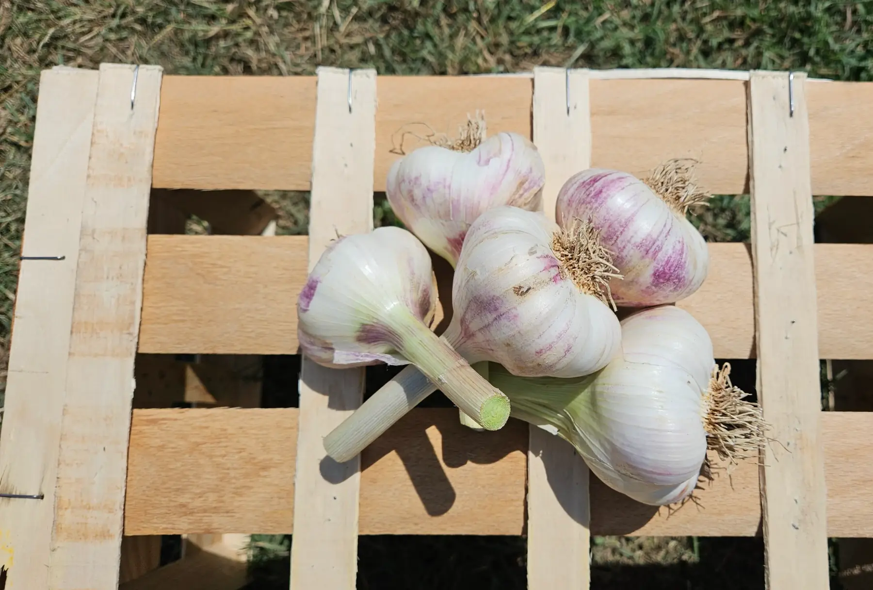 Le Lavoir Saint Restitut
