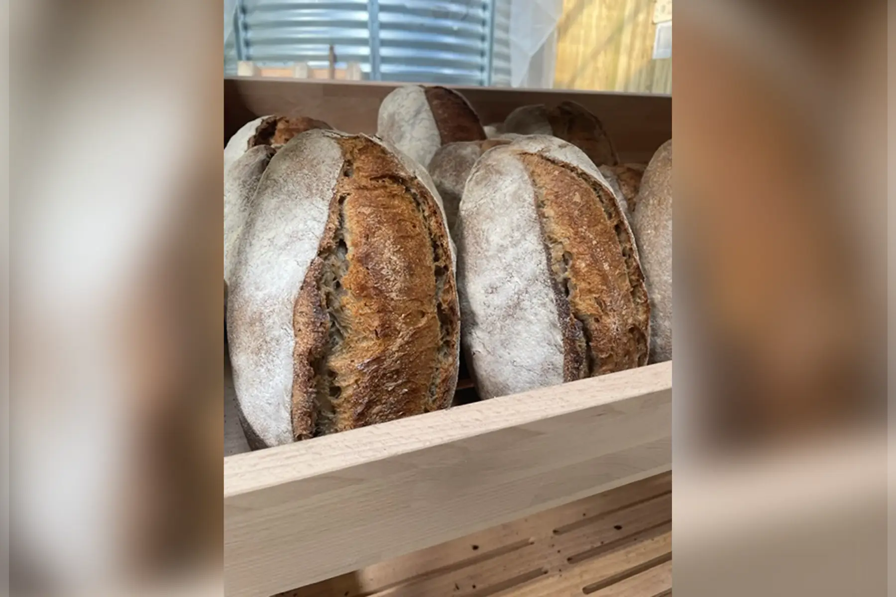 pain de campagne 500g