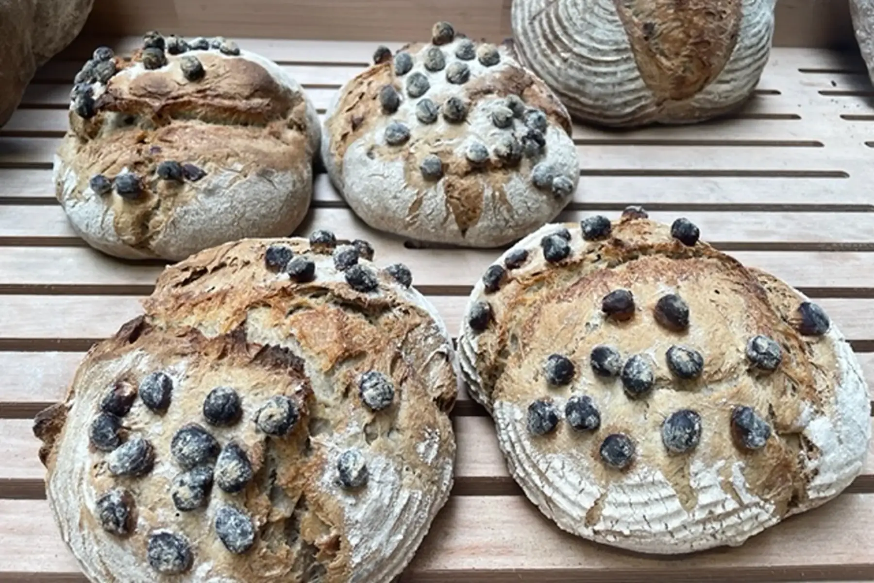 pain aux noisettes 500g