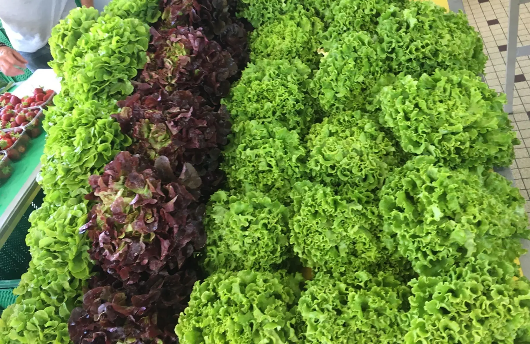 salade