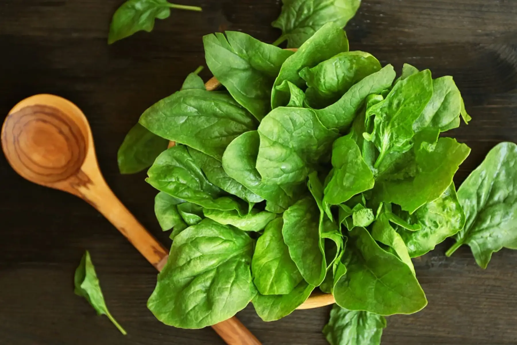 lessac'crés légumes