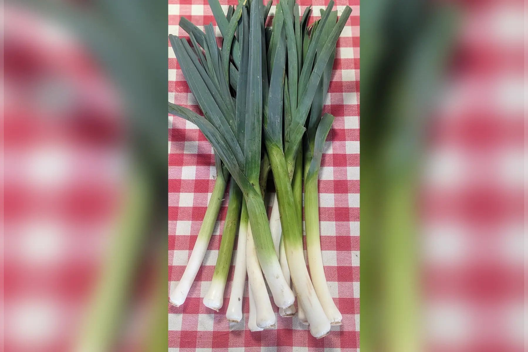 LA CLAIRIÈRE PAYSANNE