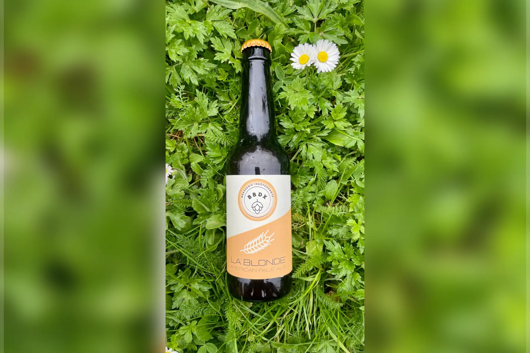 bière blonde 33cL
