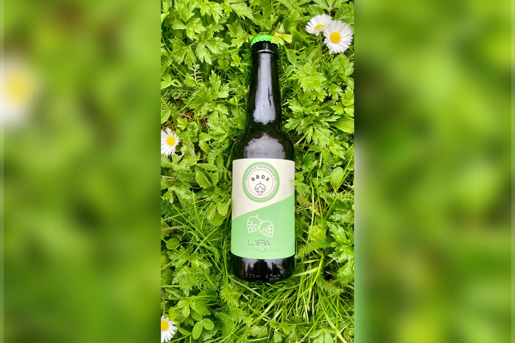 bière IPA 33cL