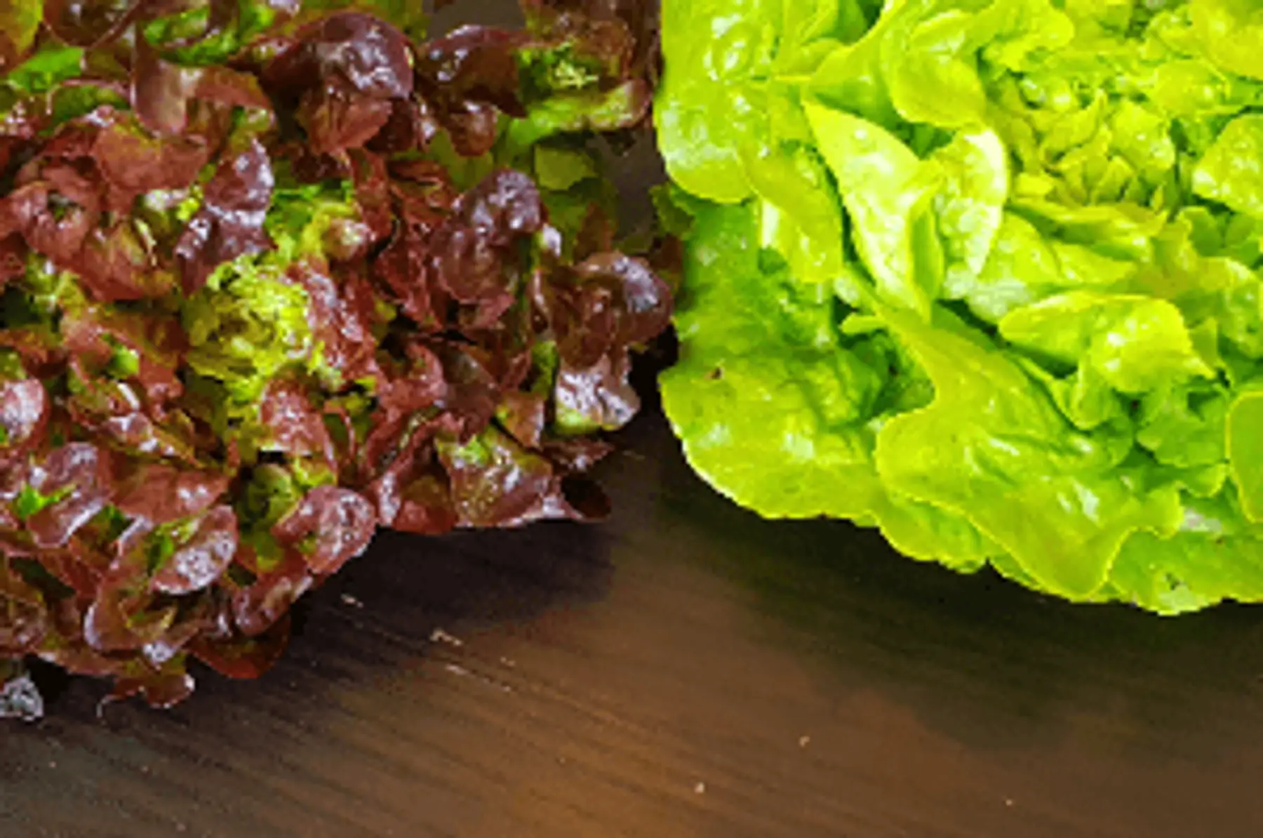 salade