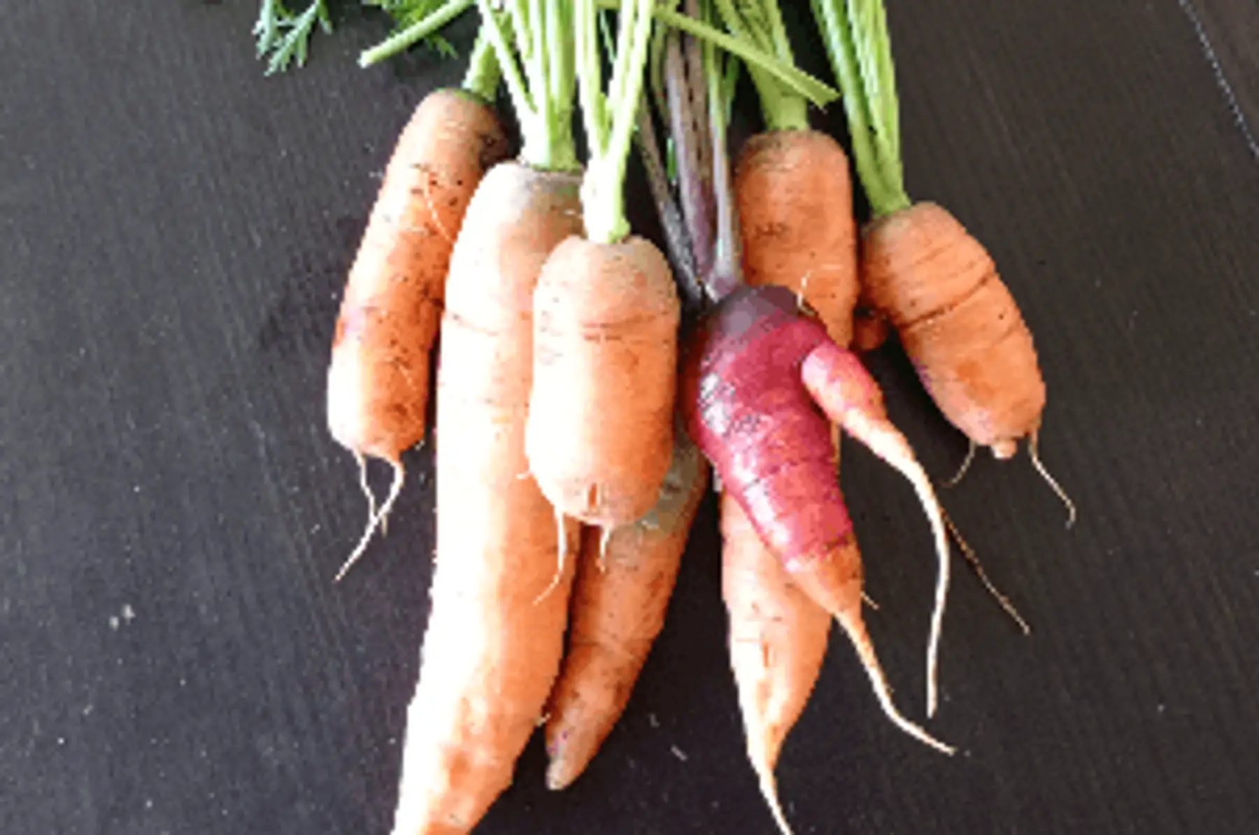 carottes botte