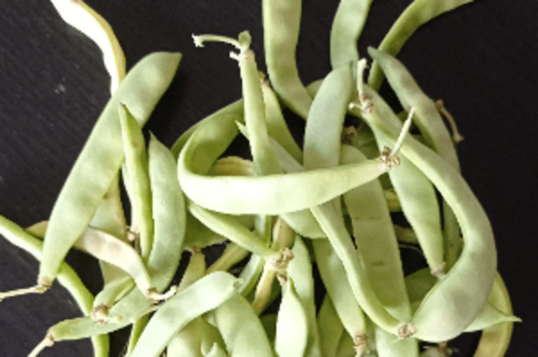 haricots beurre