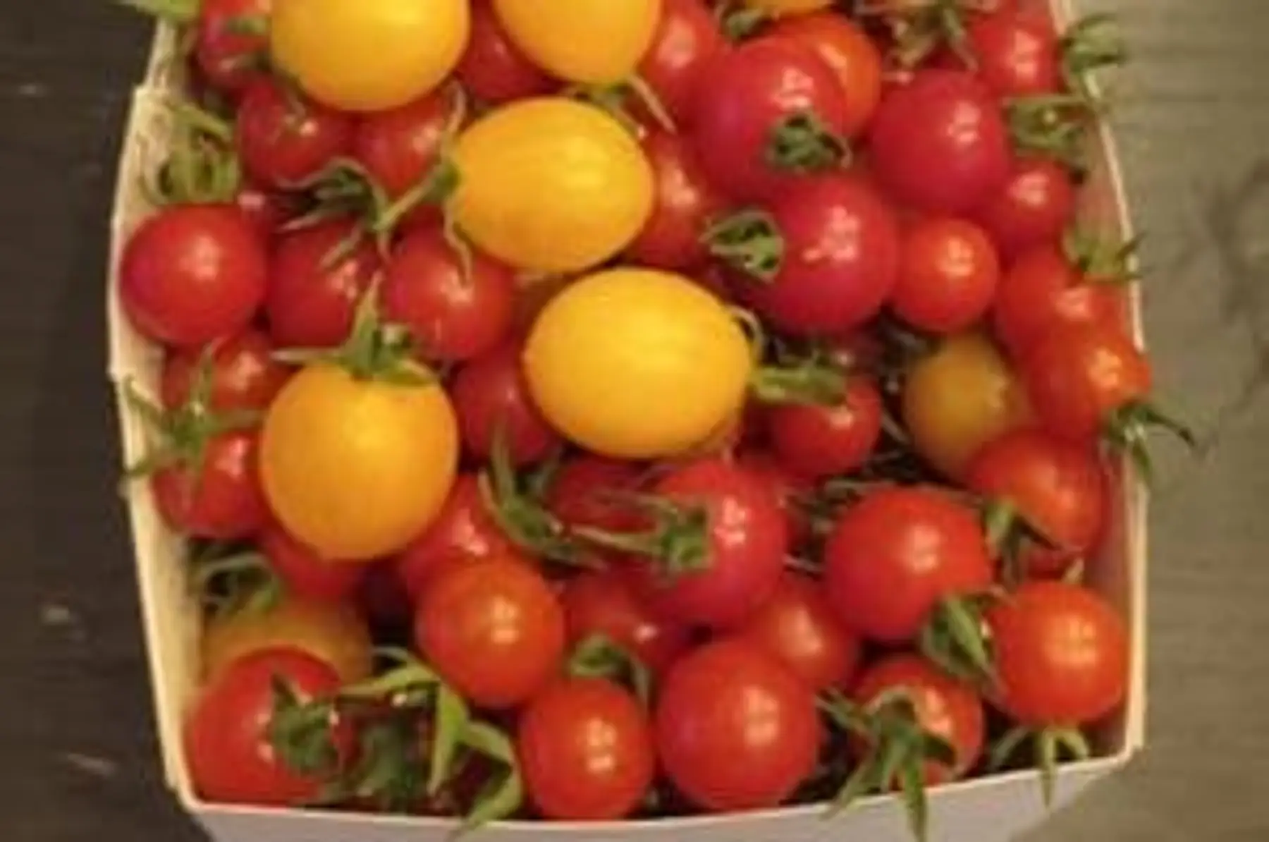 tomates cerises