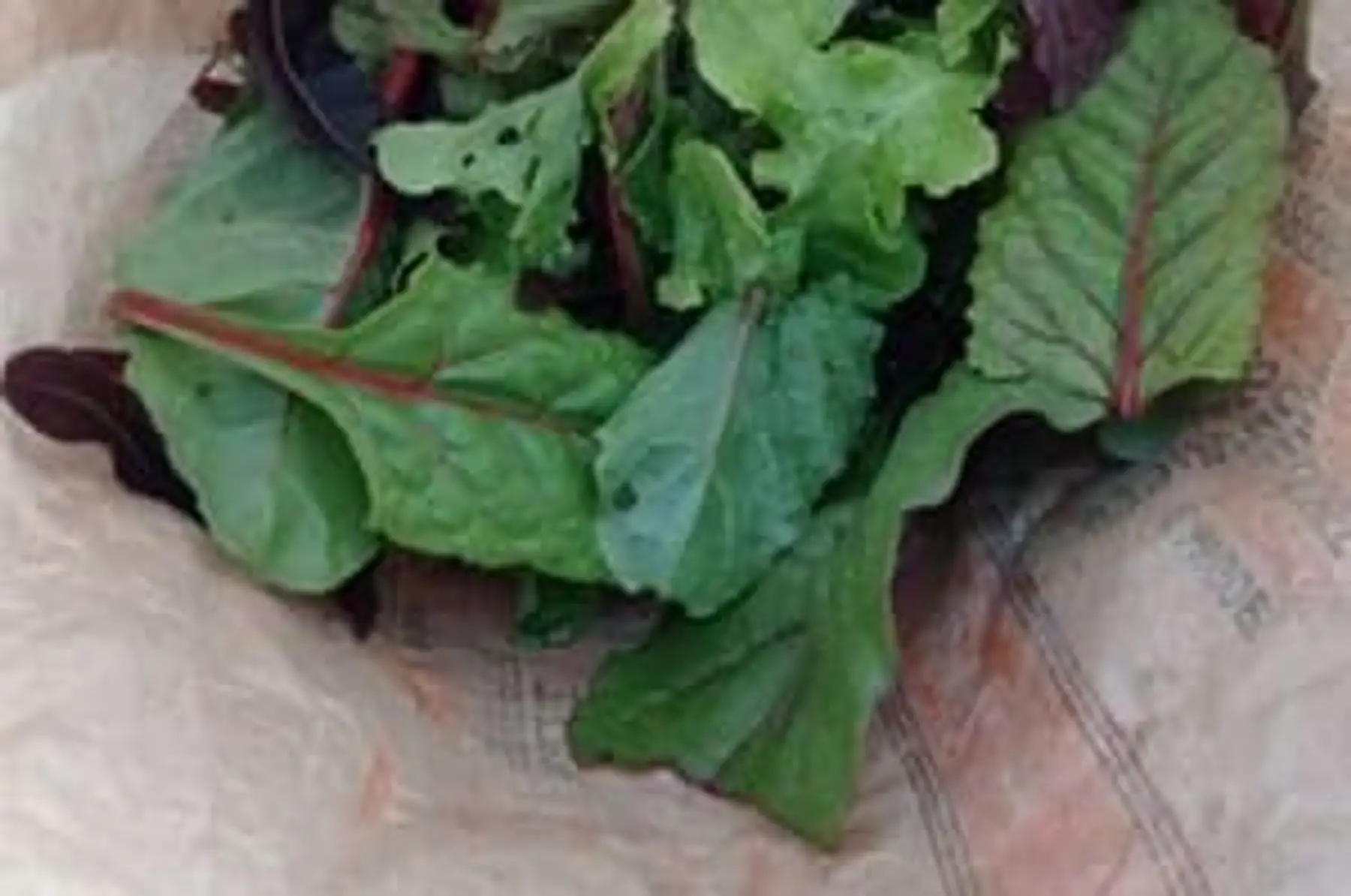 Mesclun de salade - Botte de 100g environ