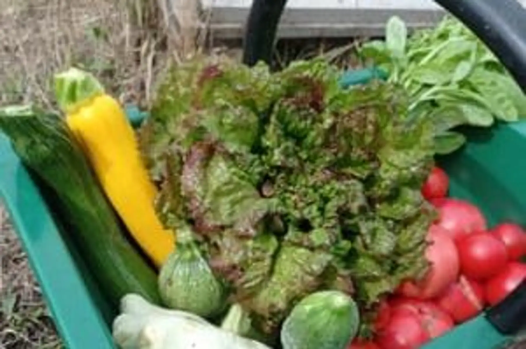 Panier de légumes - 5-6 personnes