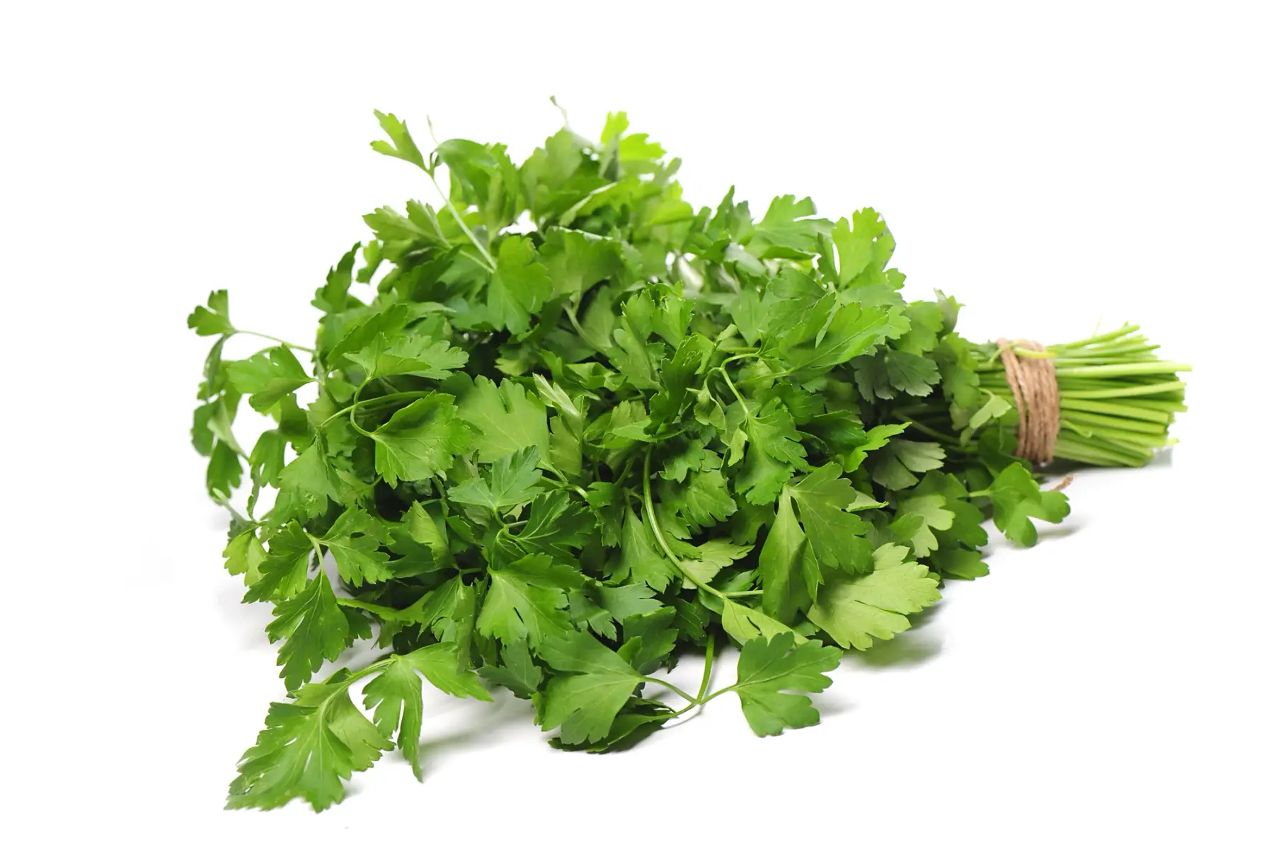 persil plat