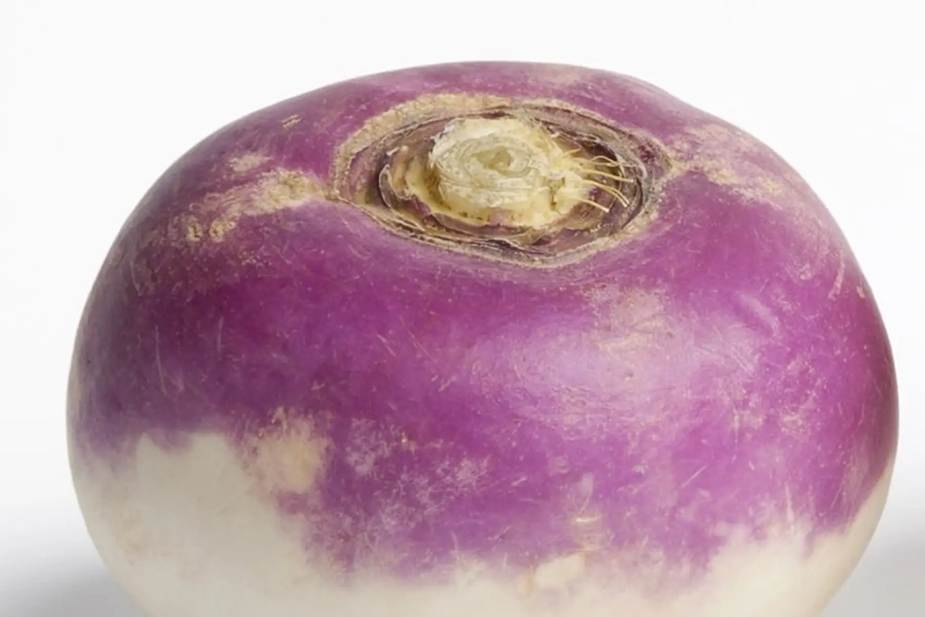 Navet violet