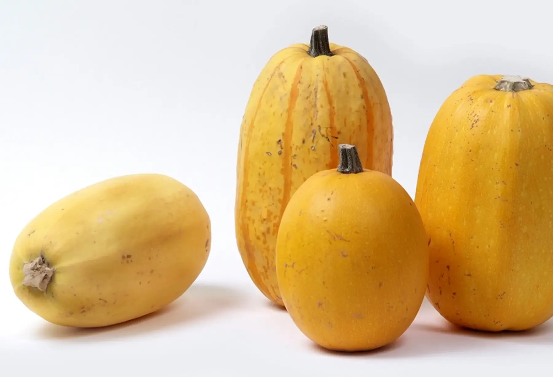 Courge spaghetti (gros)