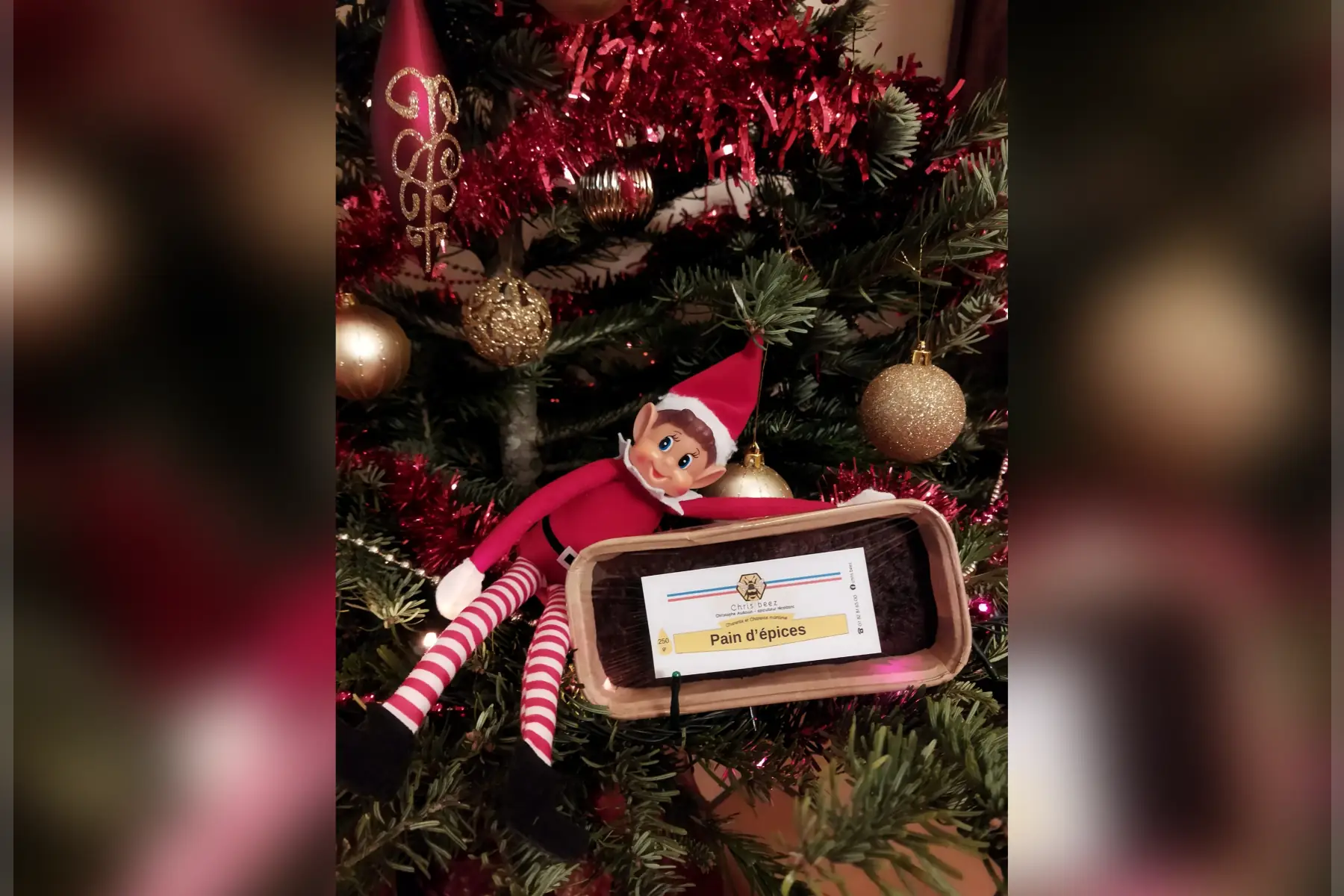 pain d'épices 250 gr