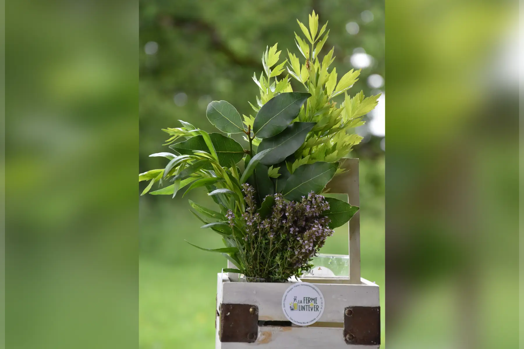 mix aromatiques bio spécial blanquette