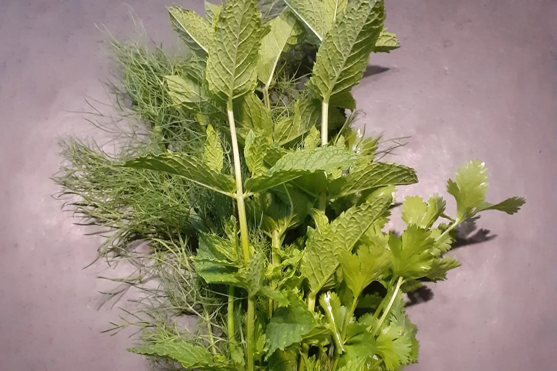 mix aromatiques bio spécial sauce au yaourt