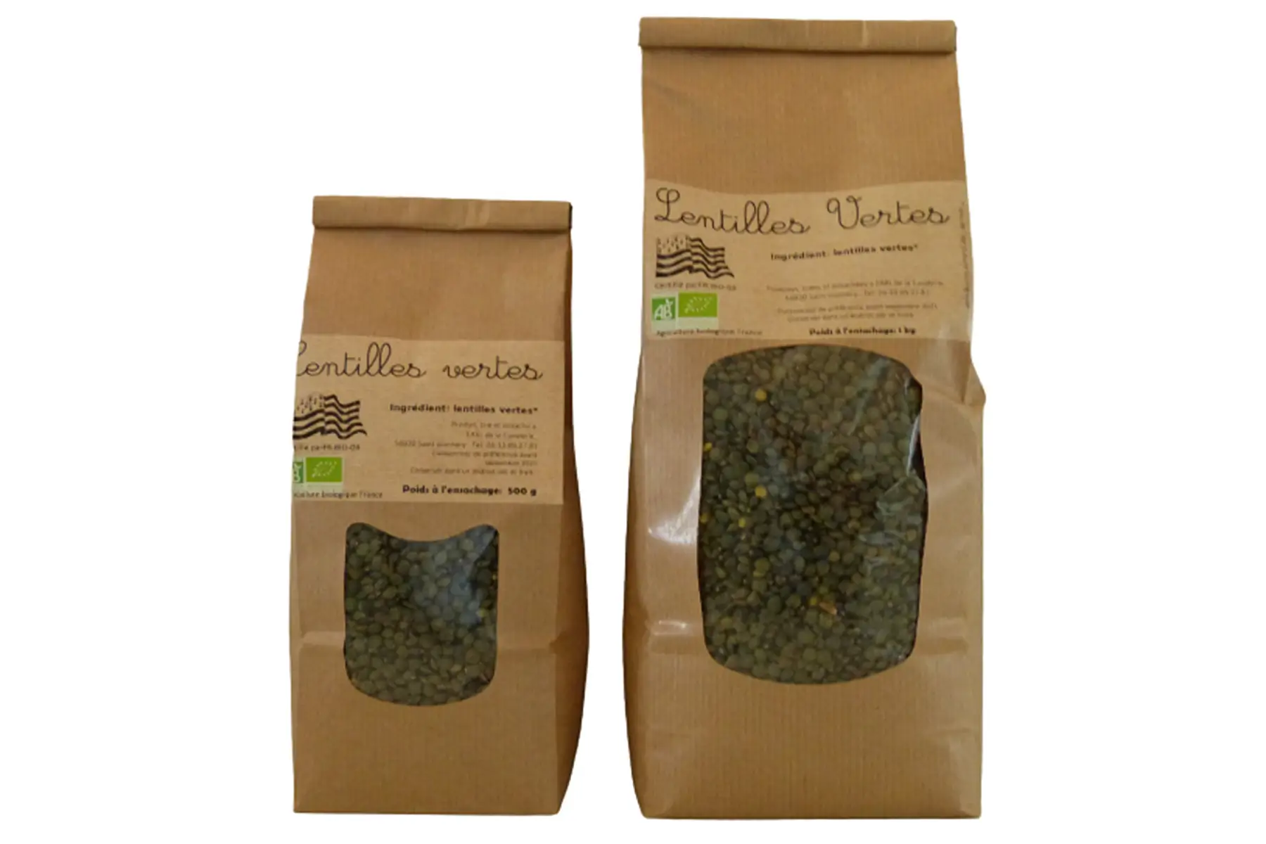 lentilles vertes