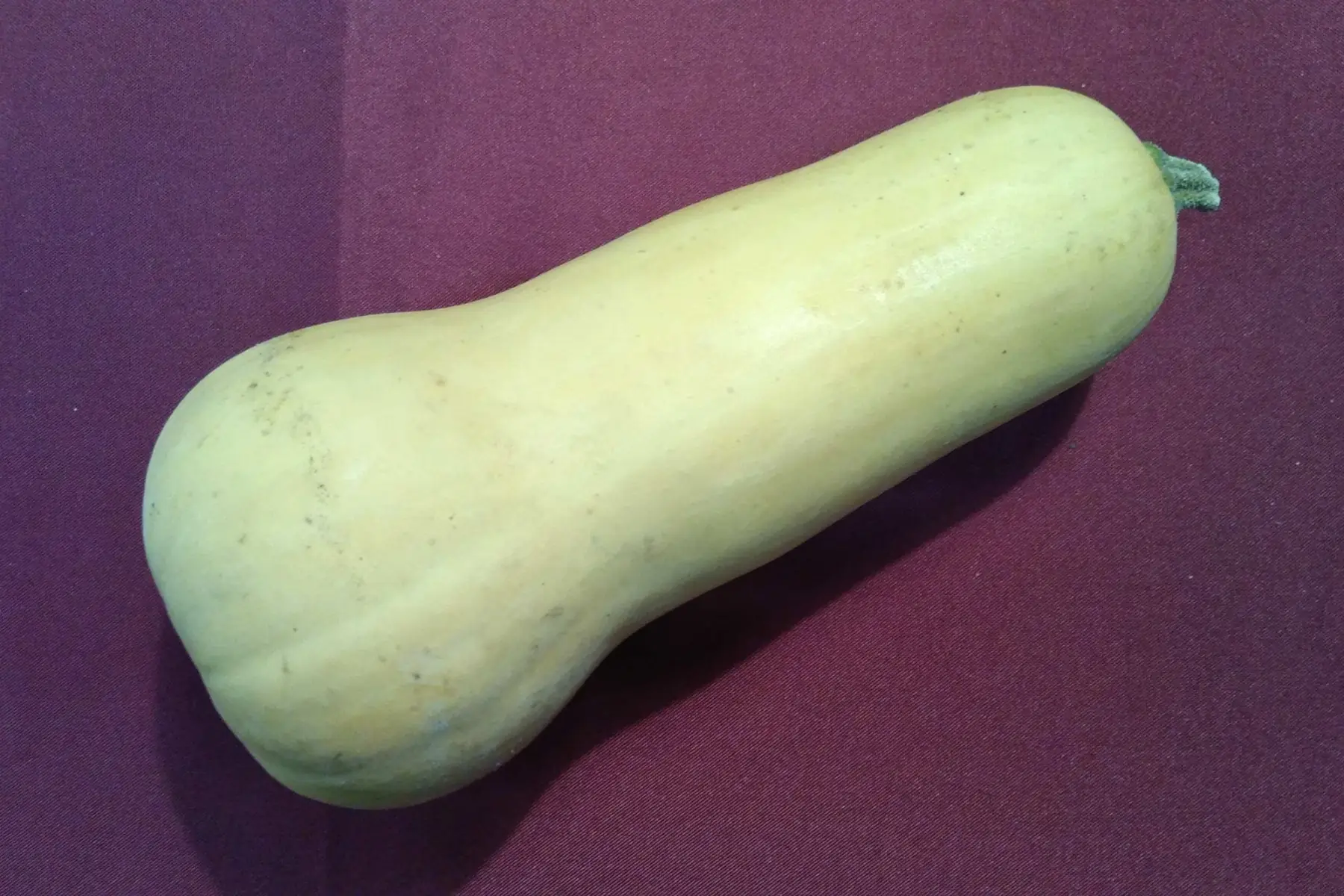 Butternut
