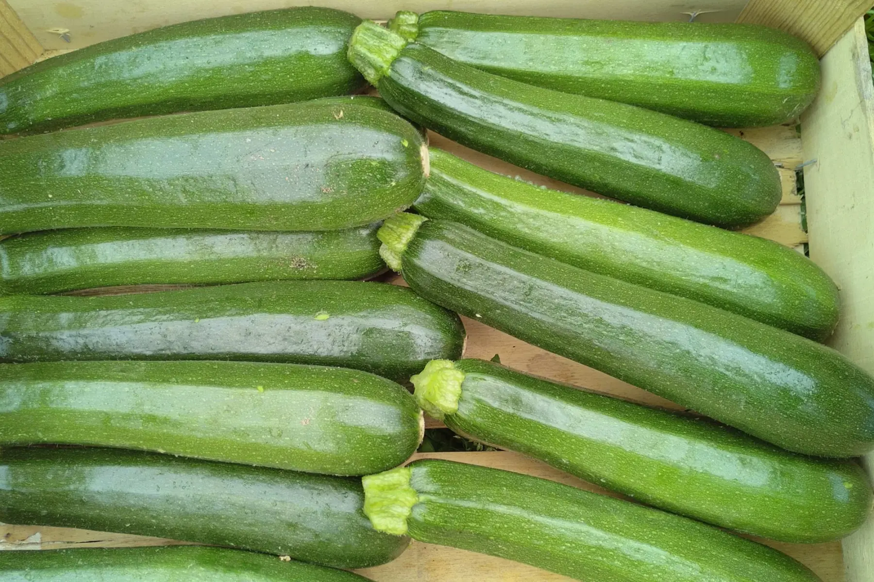 Les Jardins du Maine - Maraichage