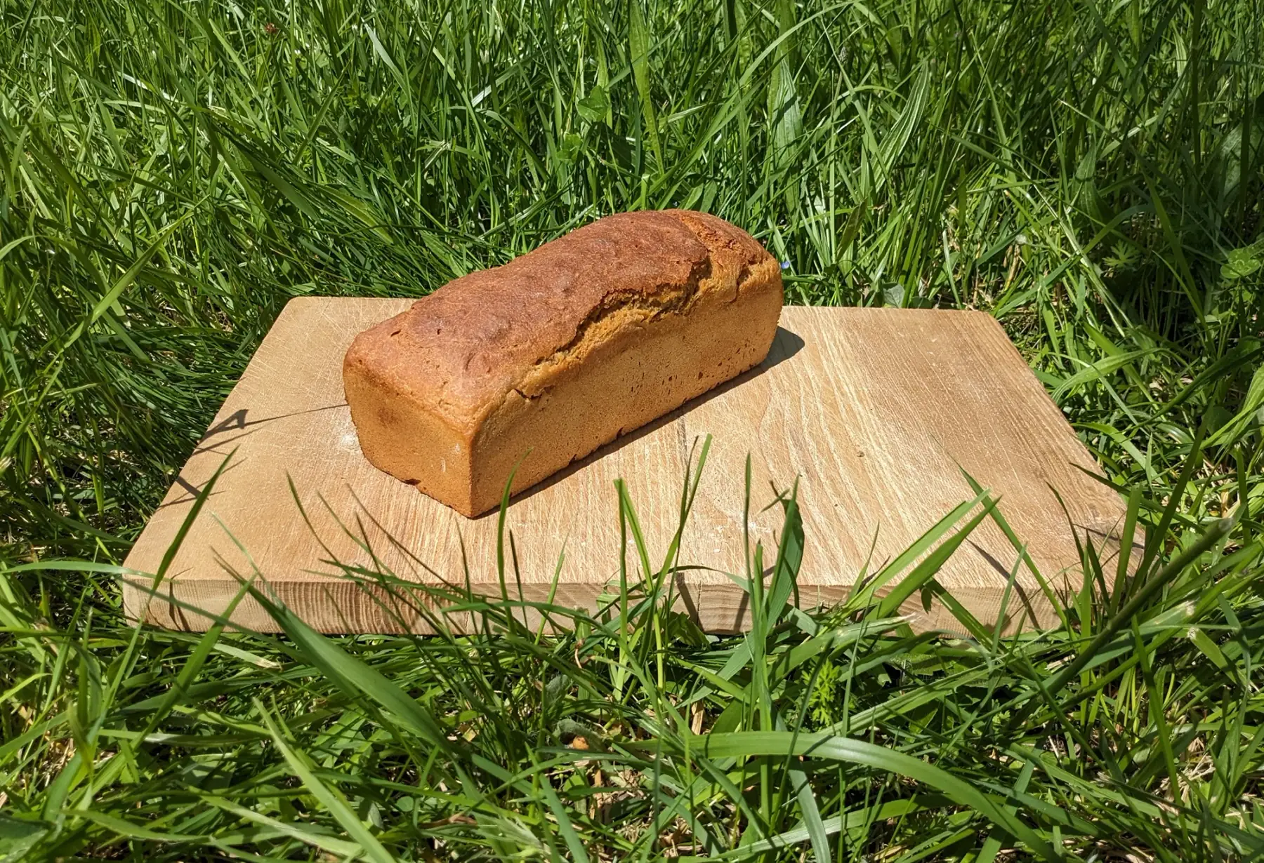 pain petit épeautre