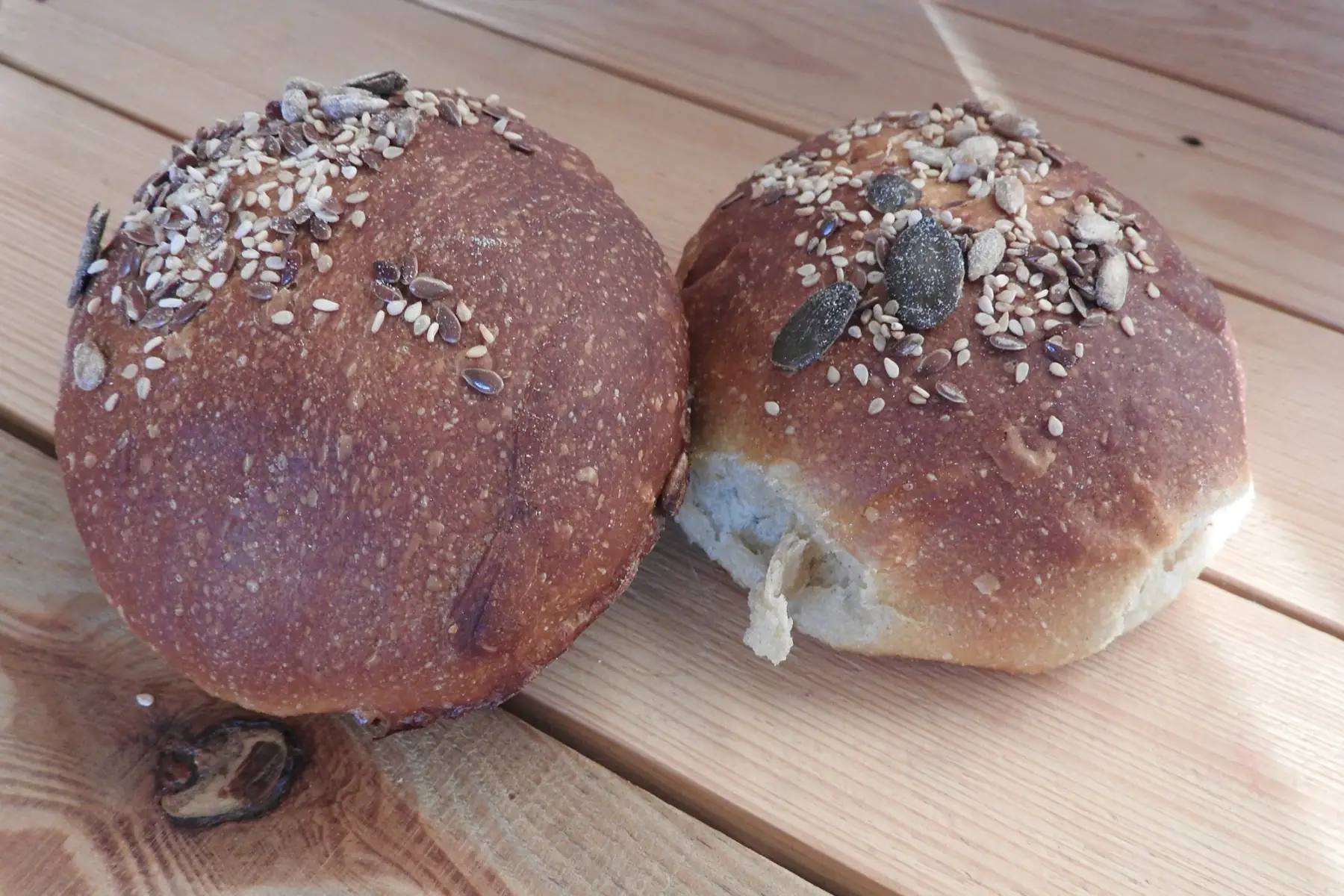 "buns" - pains à burger bun (pain à burger)