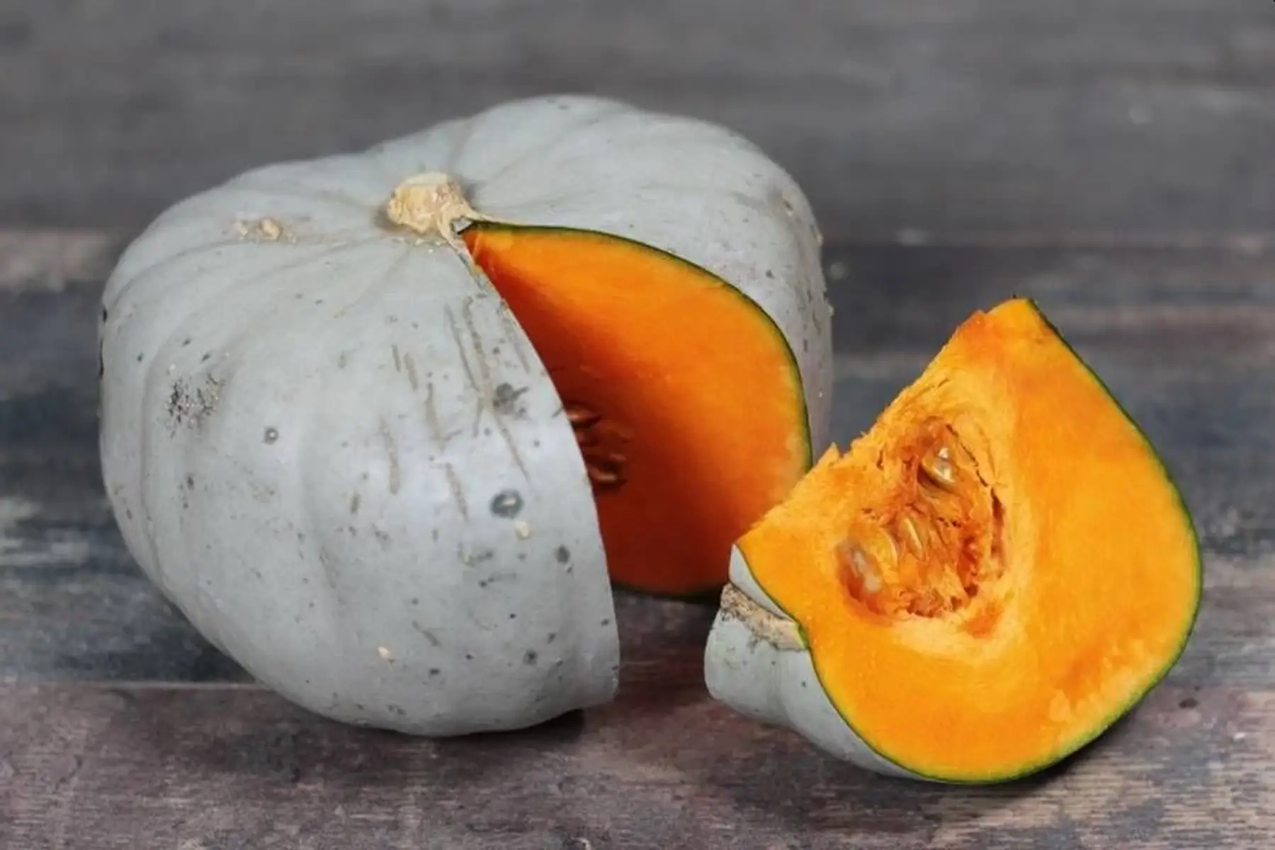 Courge bleu de Hongrie