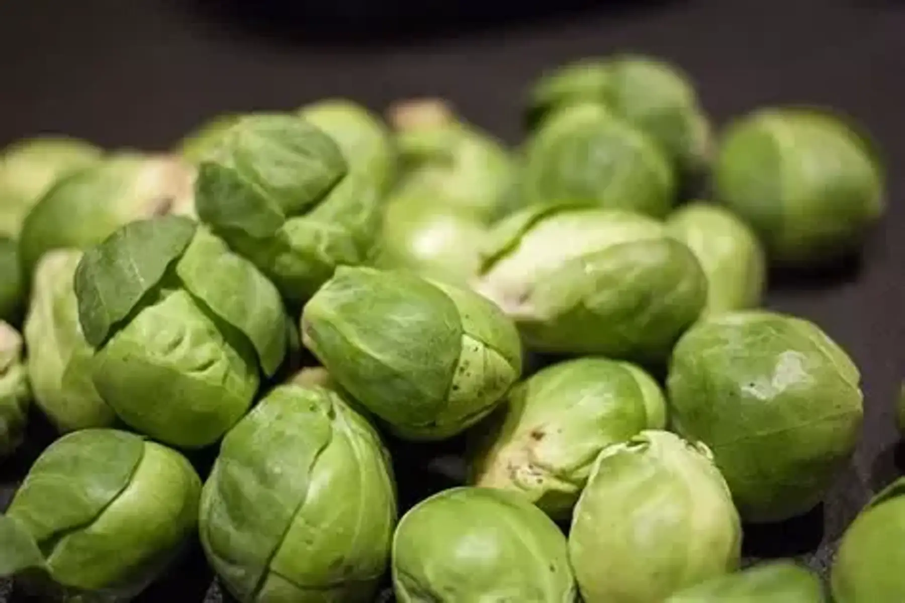 Chou de bruxelles