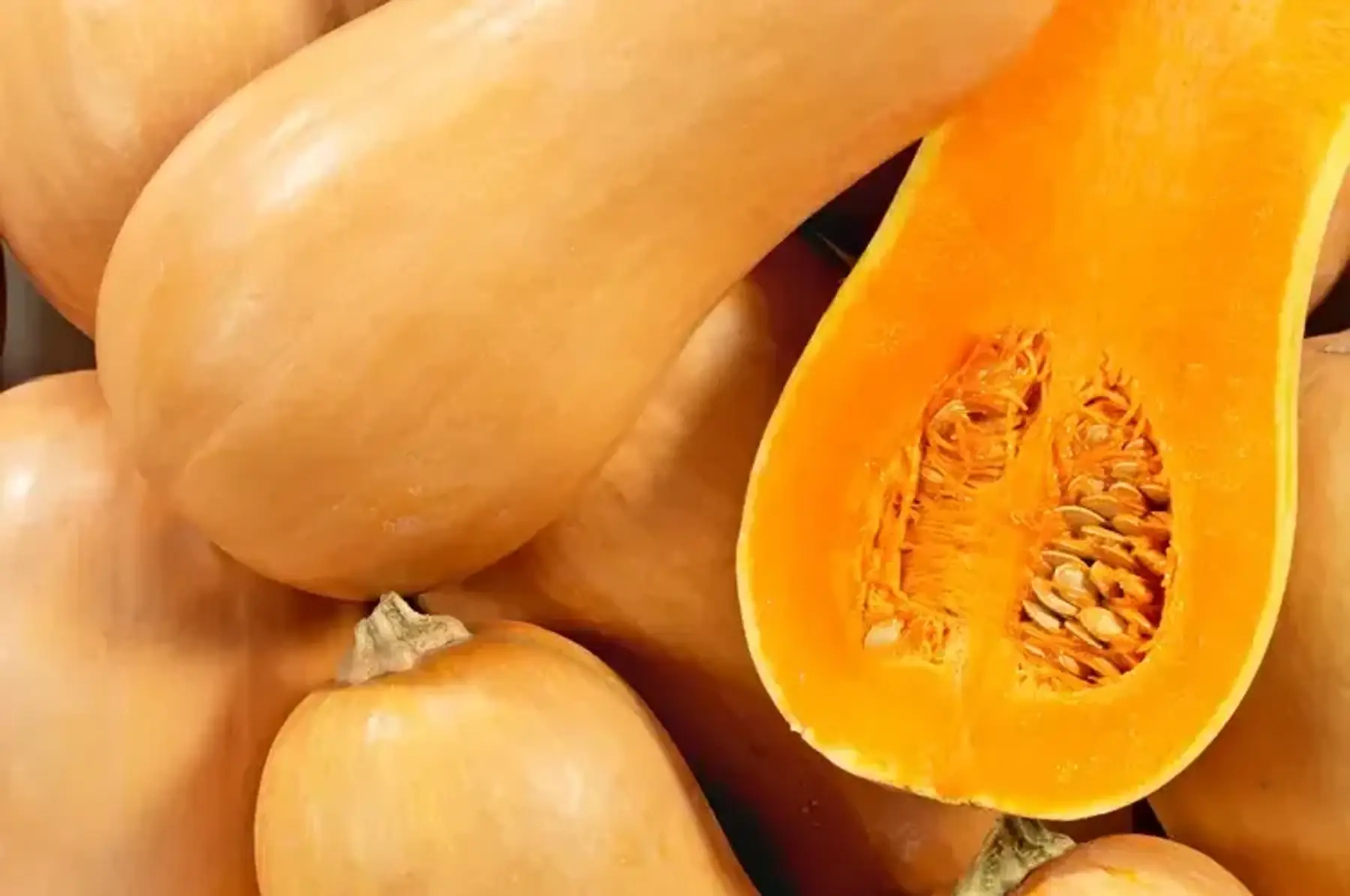 Courge Sucrine du Berry