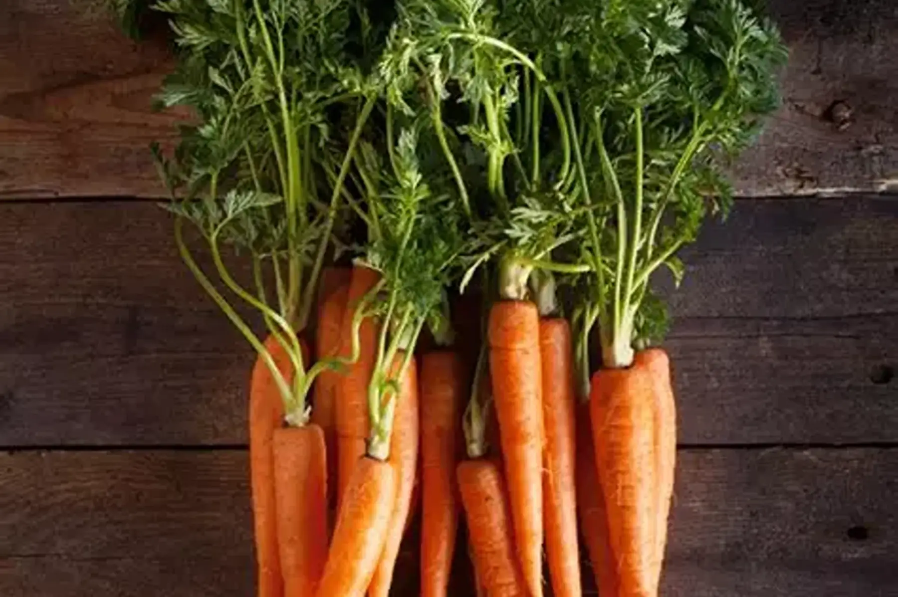 Mini carottes nouvelles