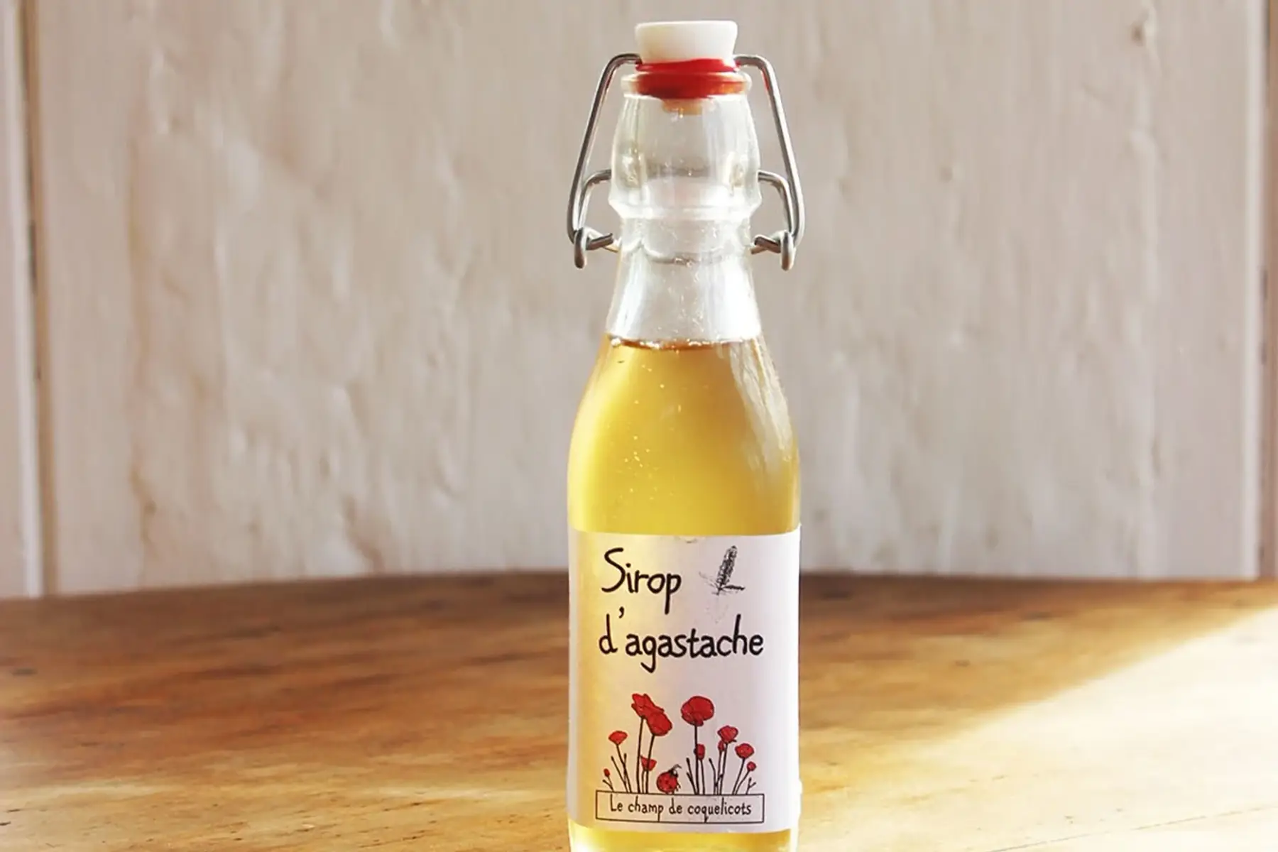sirop d’agastache anisée