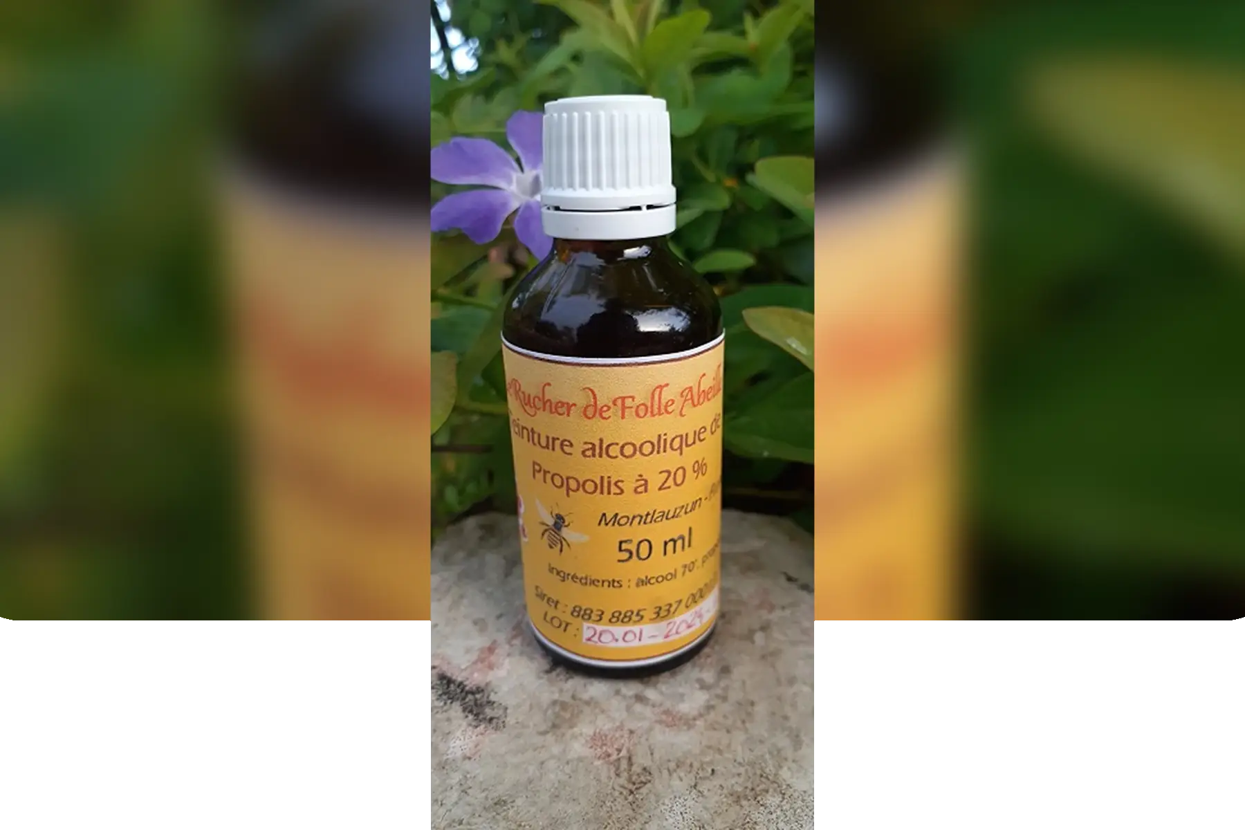 Le Rucher de Folle Abeille - Gaëlle Matura